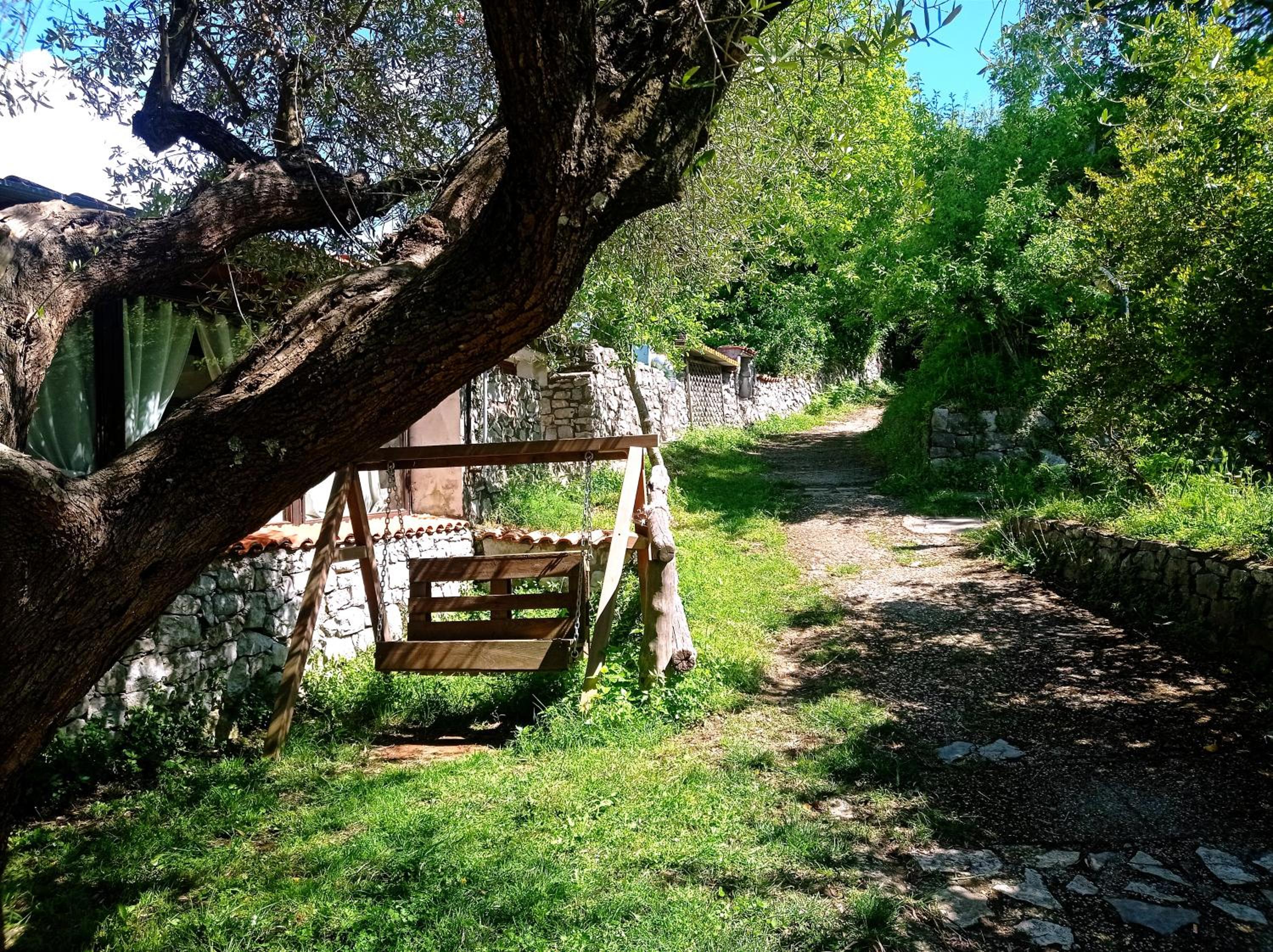 Photo 24