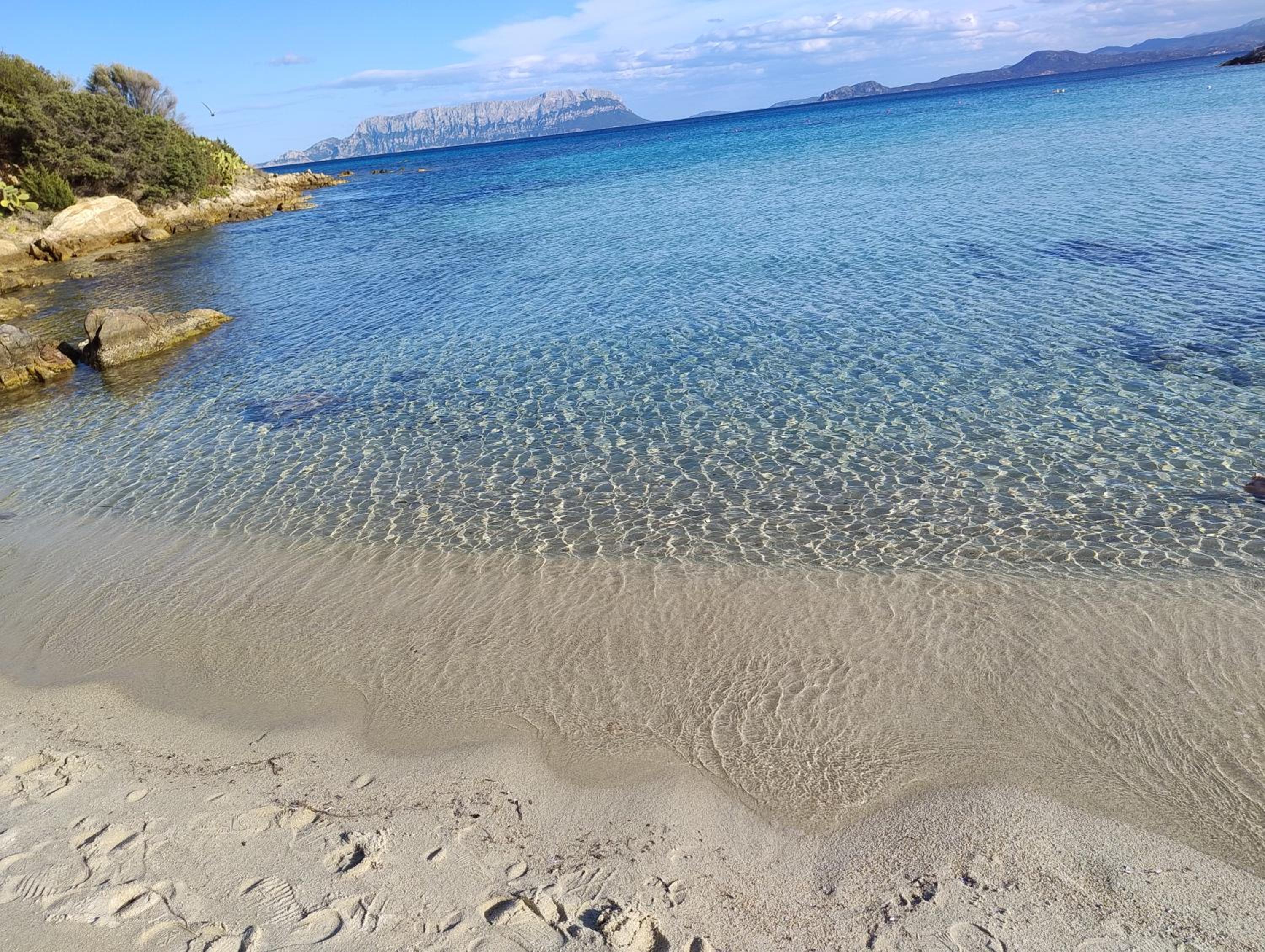 La Vela House