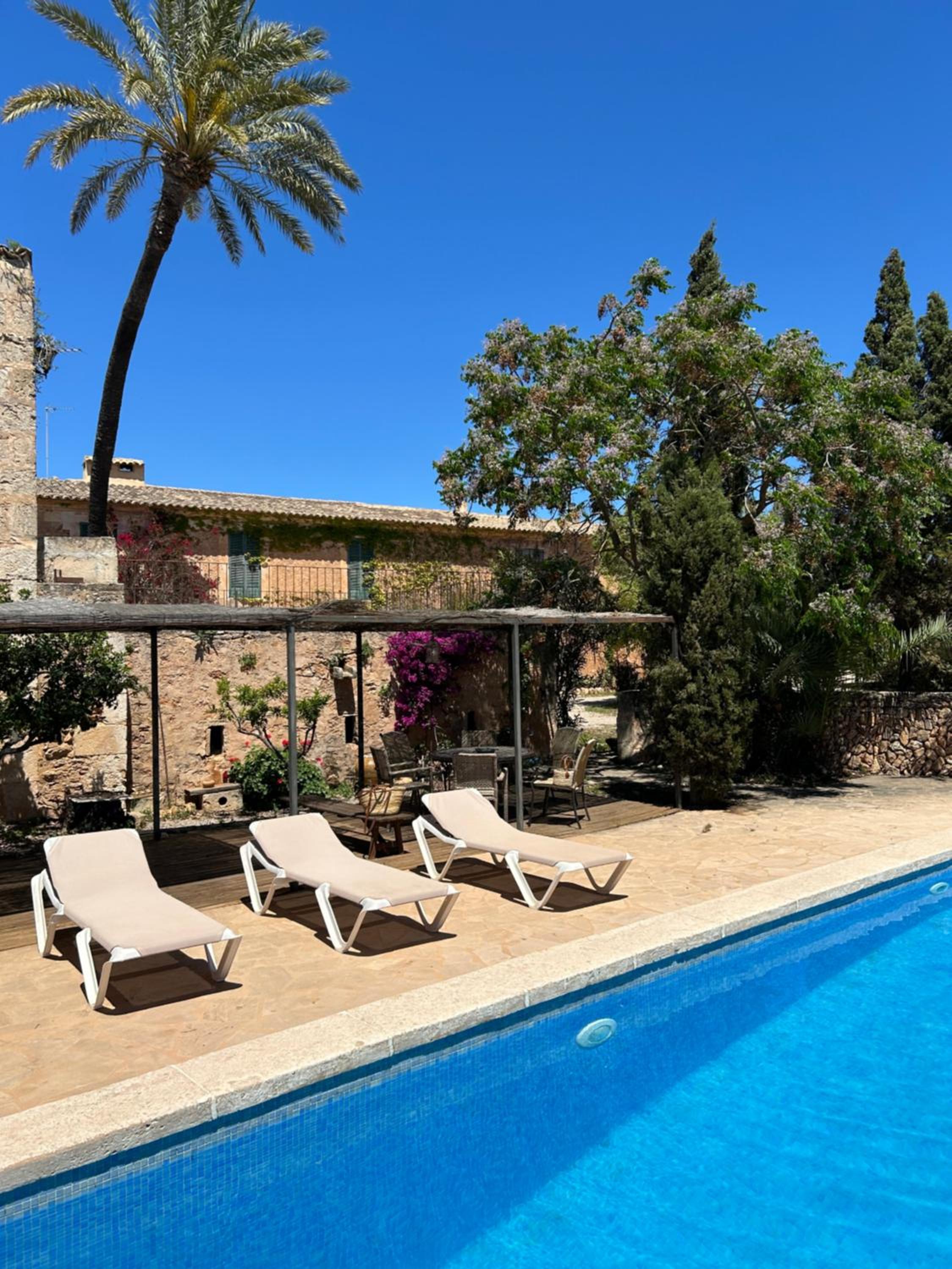 Finca Albenyeta view 3