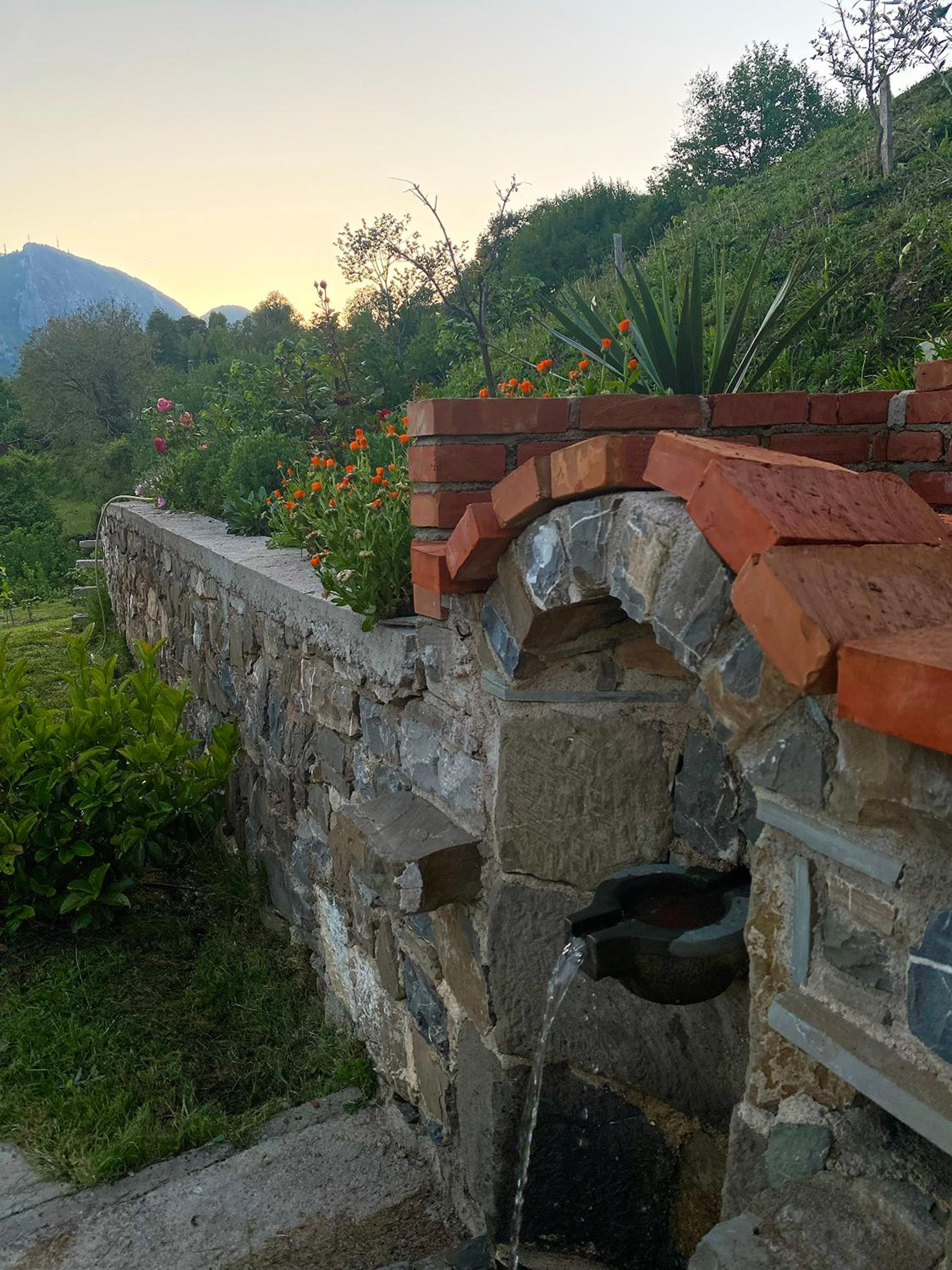 Guest House Laci