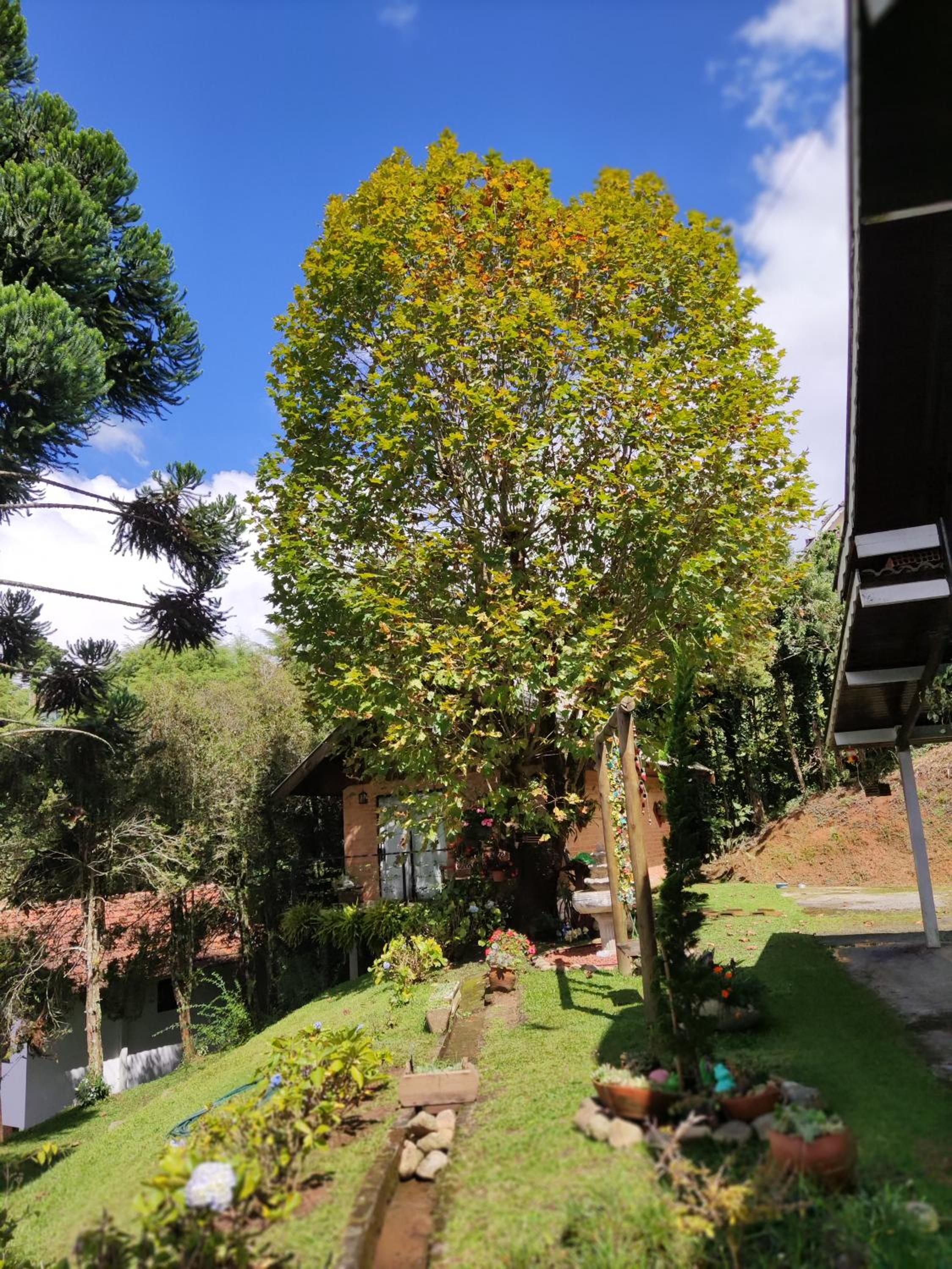 Chalé Alecrin, lançamento em conforto e estilo!