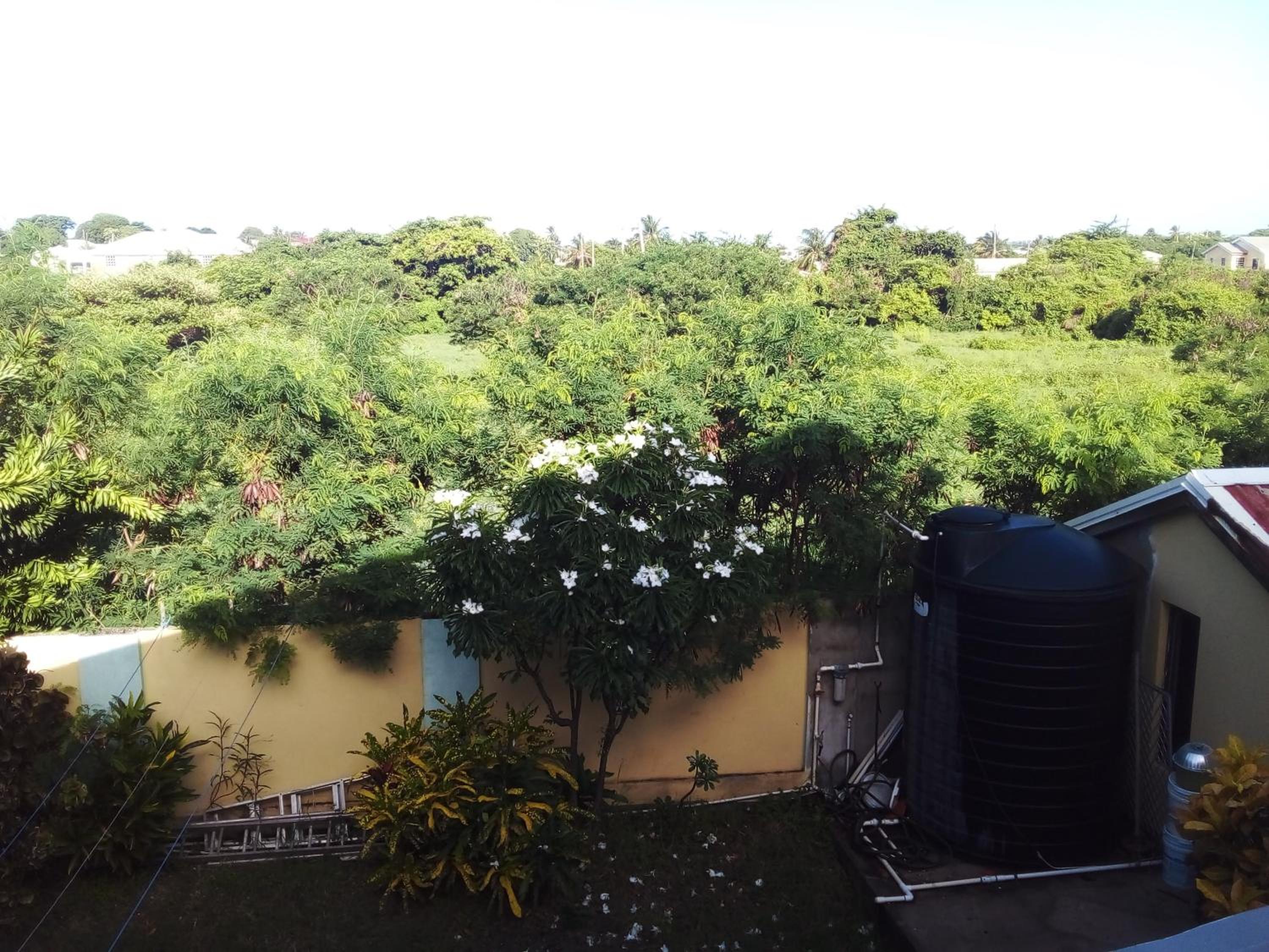 Palm View Room 1