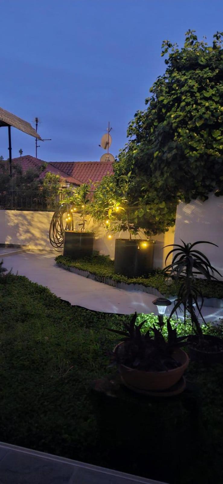 Tole Apartment