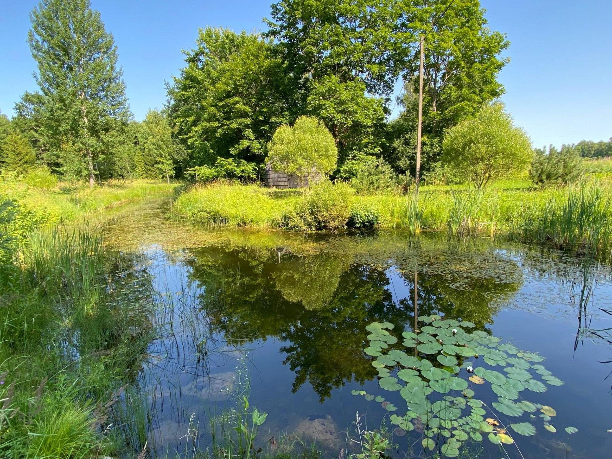 Kursi Summer Manor