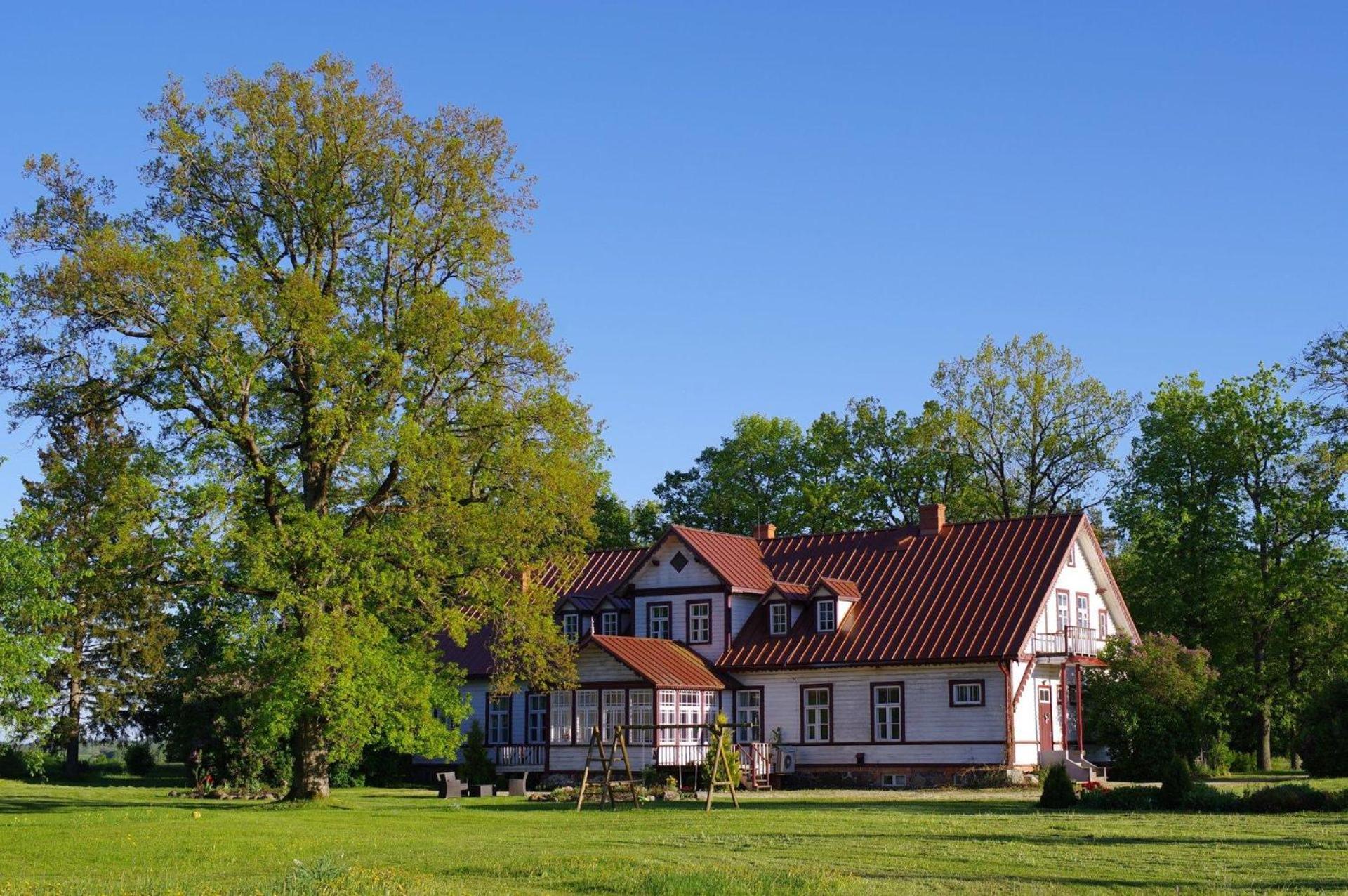 Kursi Summer Manor