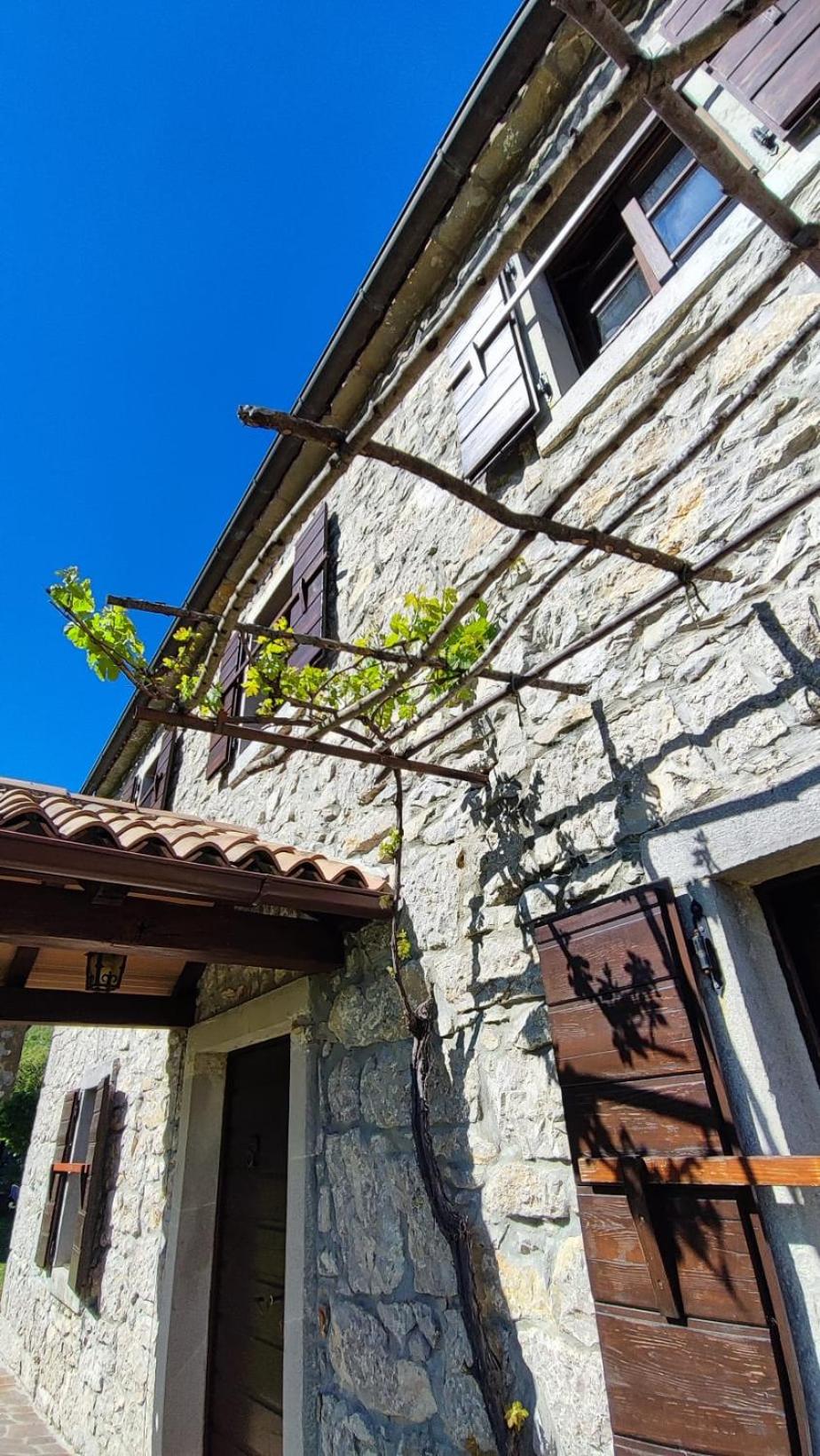 Peaceful Villa Ida&Mirko in nature with private pool