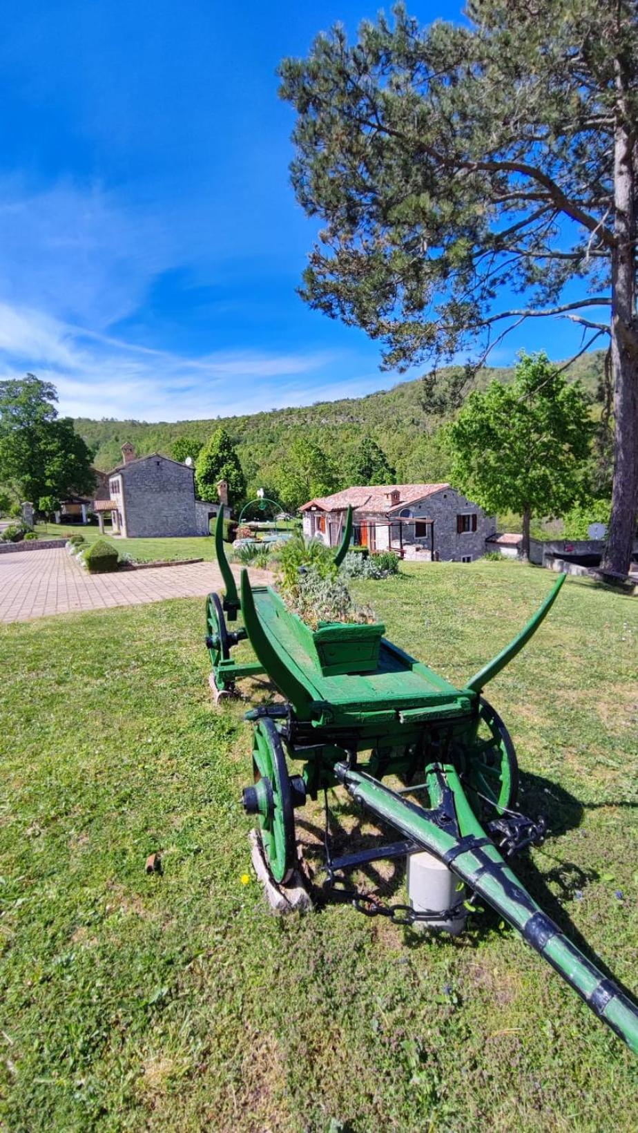 Peaceful Villa Ida&Mirko in nature with private pool