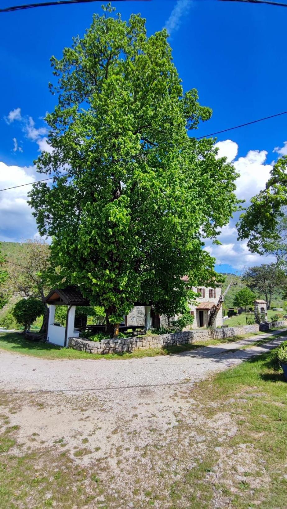 Peaceful Villa Ida&Mirko in nature with private pool