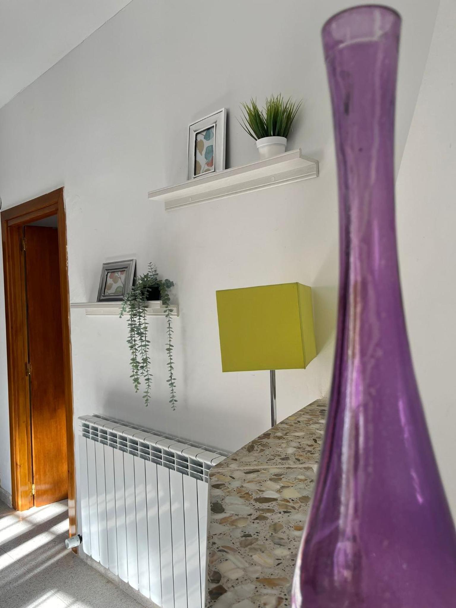 Apartamentos Manu