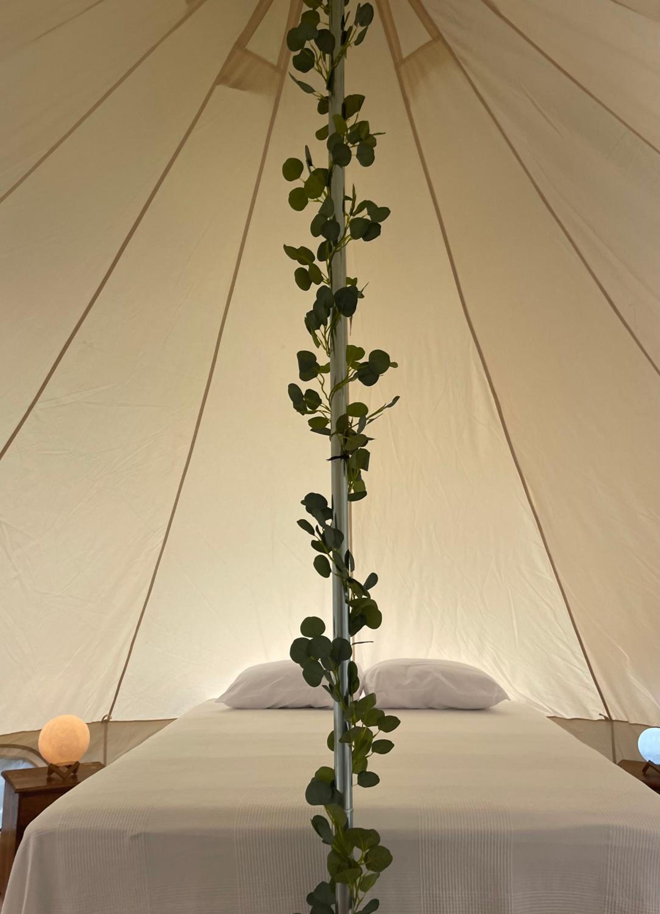 Glamping Anturios