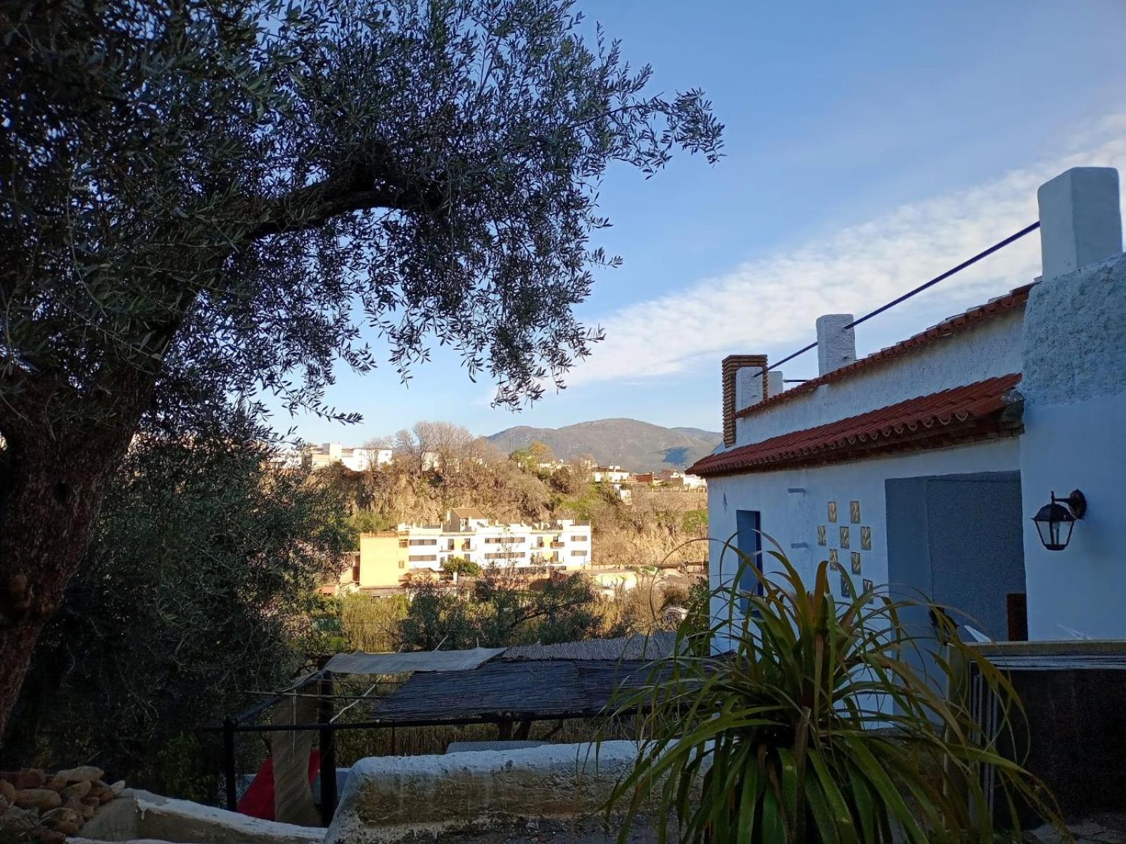 Cortijo Rural Al-Andalus con Piscina