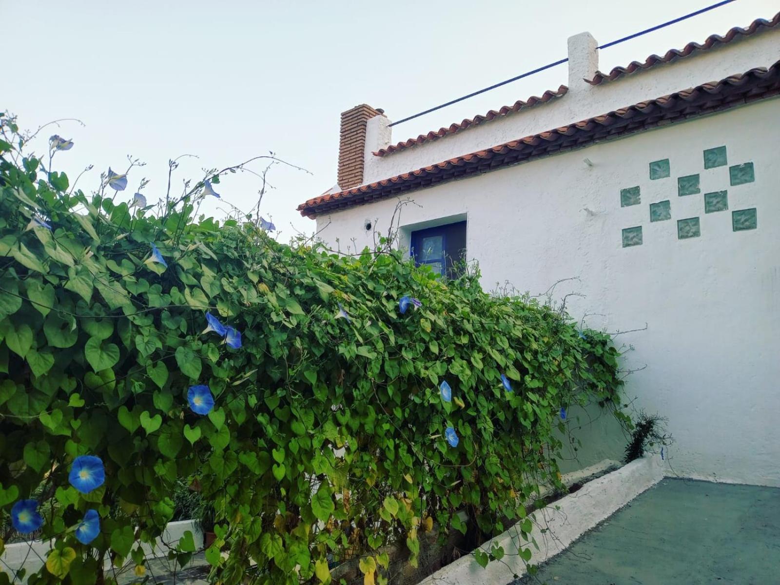 Cortijo Rural Al-Andalus con Piscina
