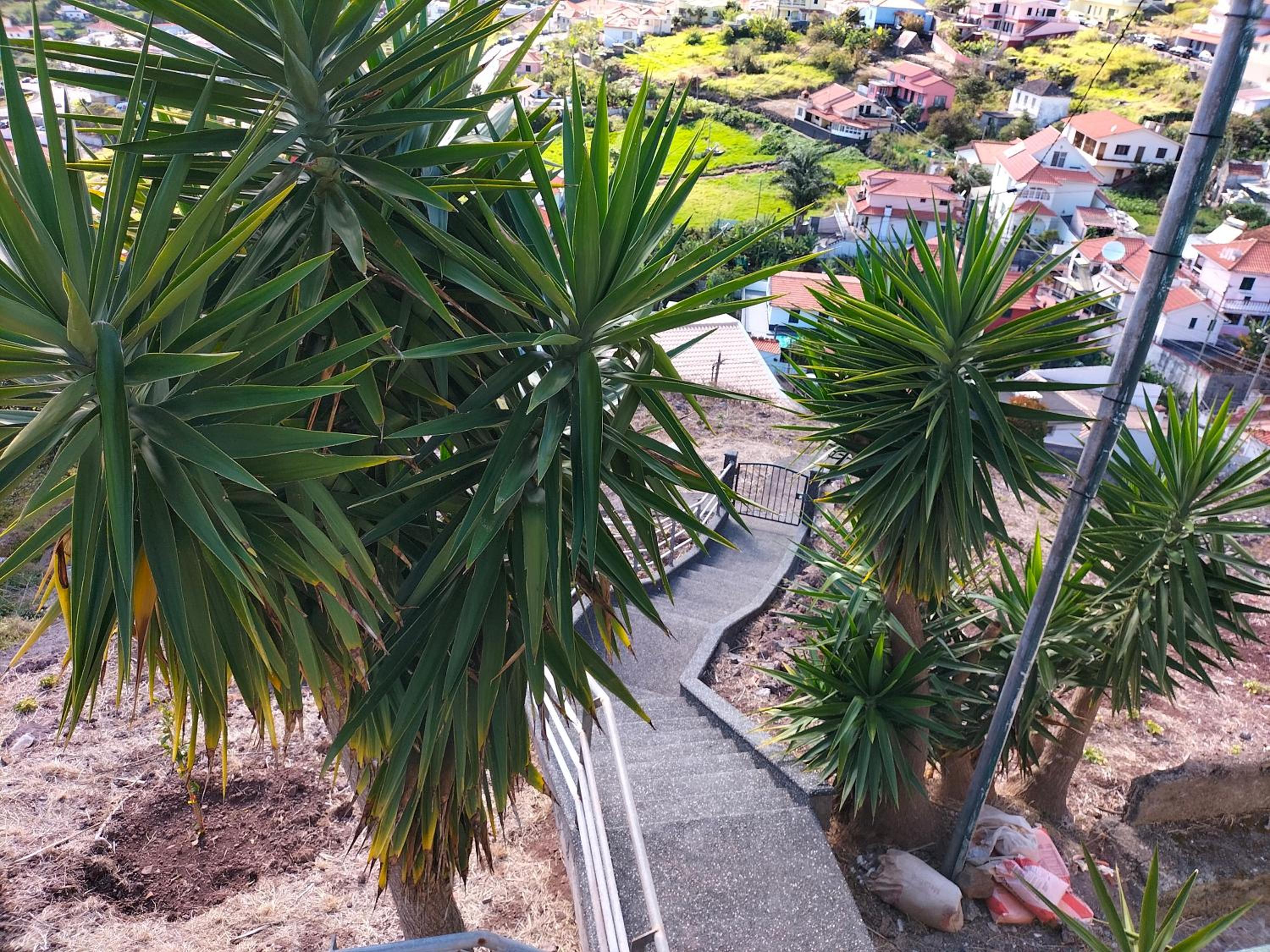 CASA Bela Vista view 2