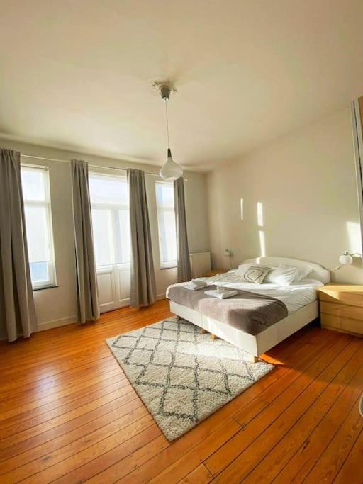 Cute central flat in Brussels