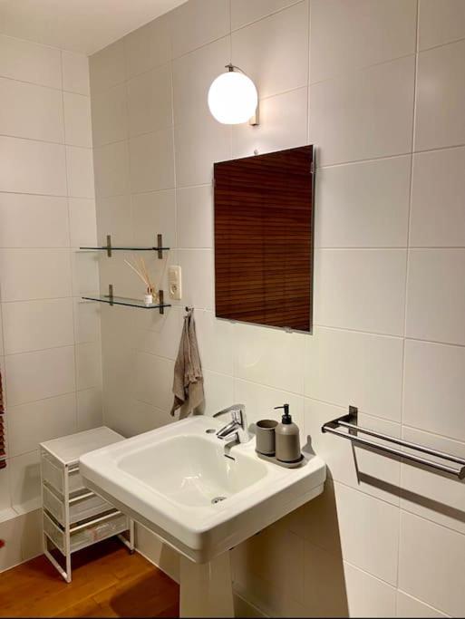 Cute central flat in Brussels
