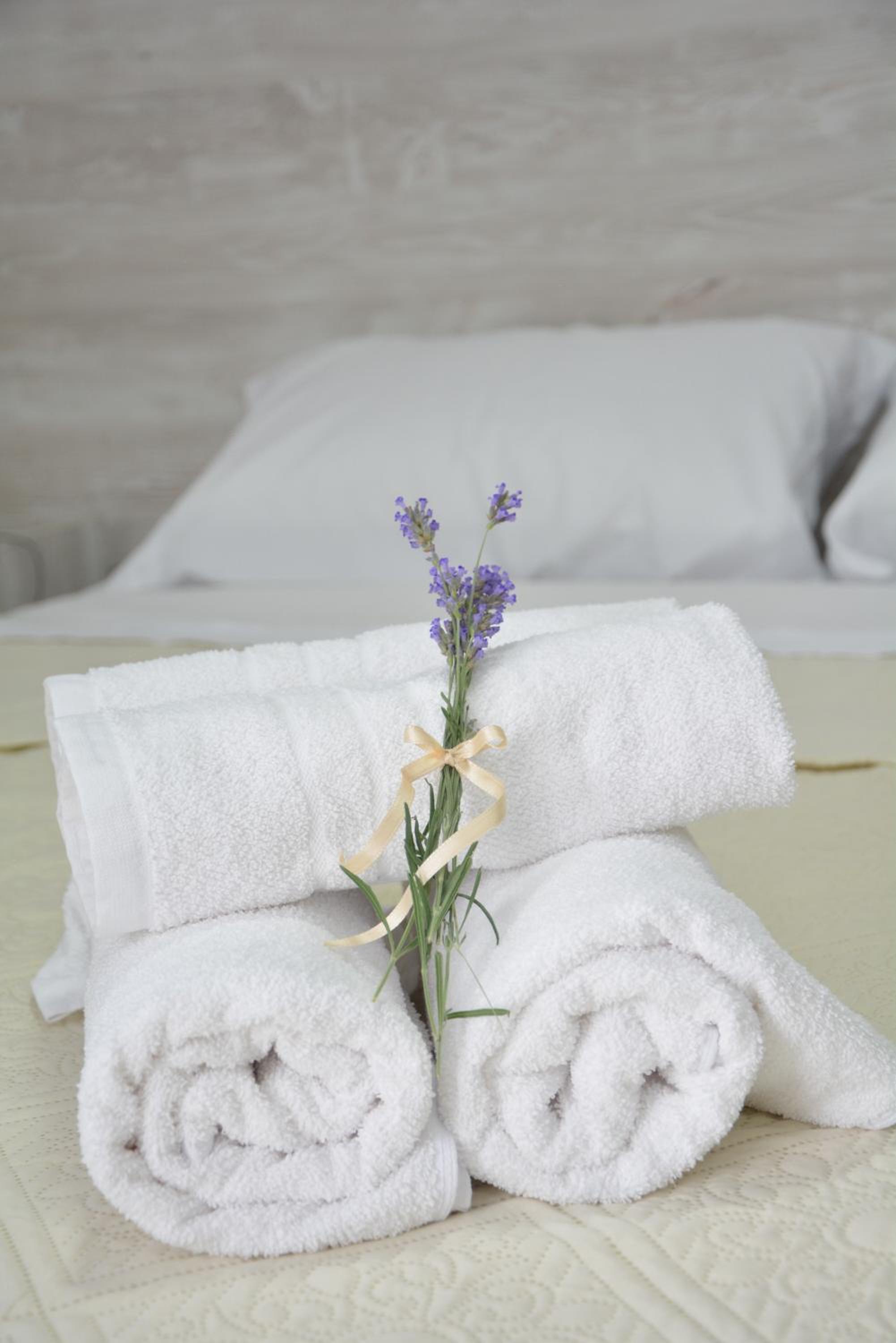 POSADA ROSSINA Habitaciones con baño privado y ambientes compartidos