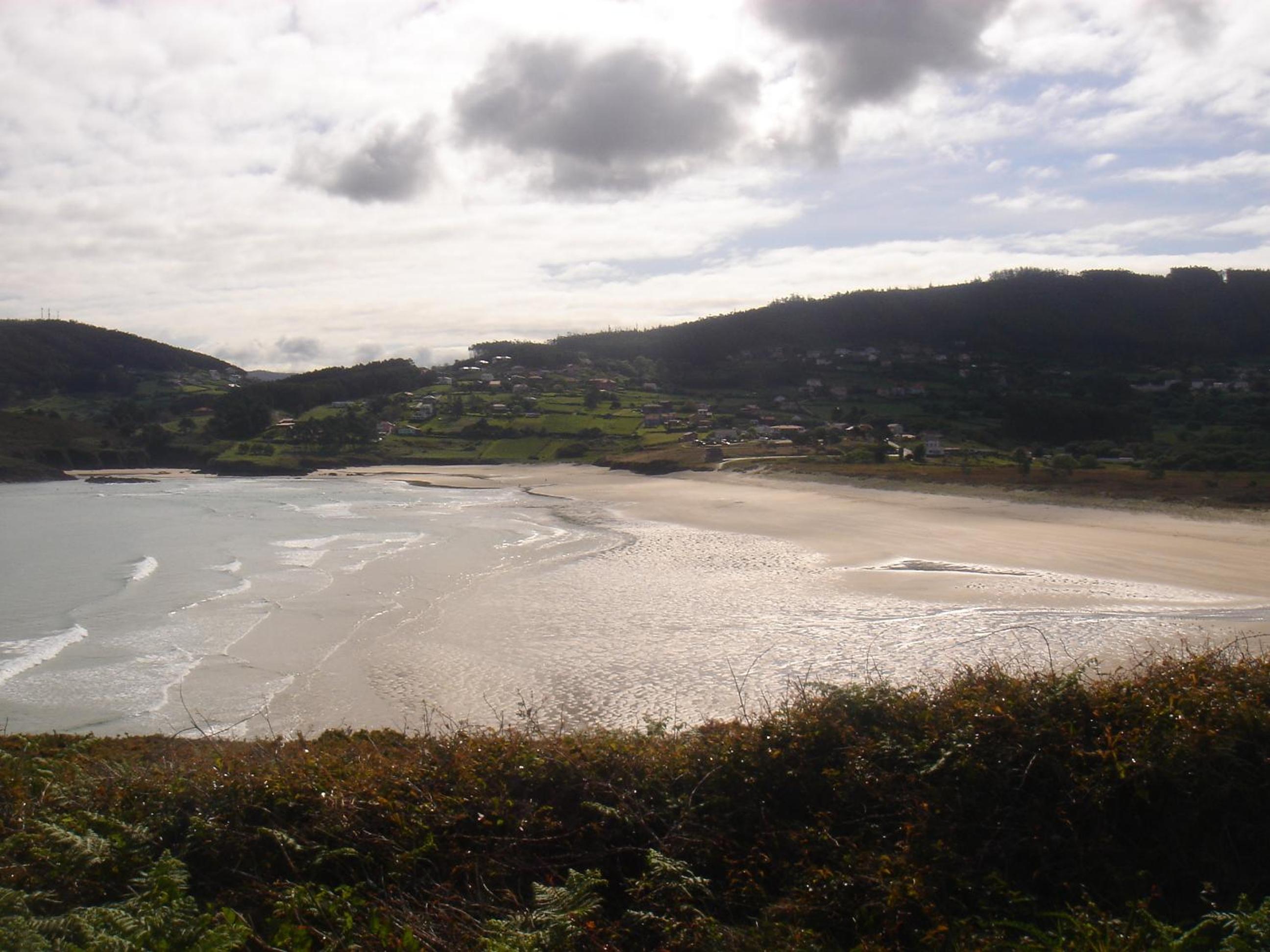 Pantin valdoviño