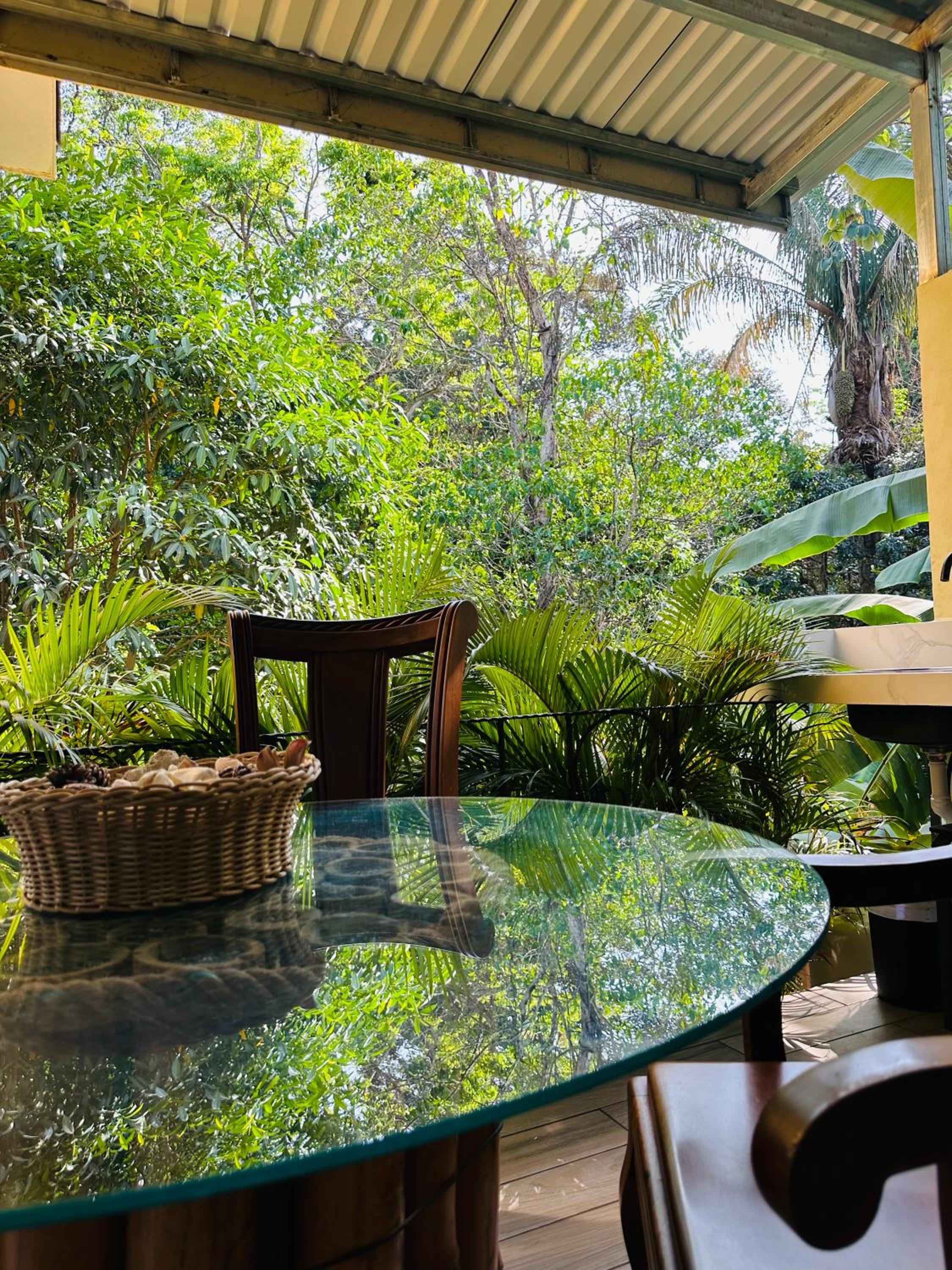 Enchanted sonido de la selva