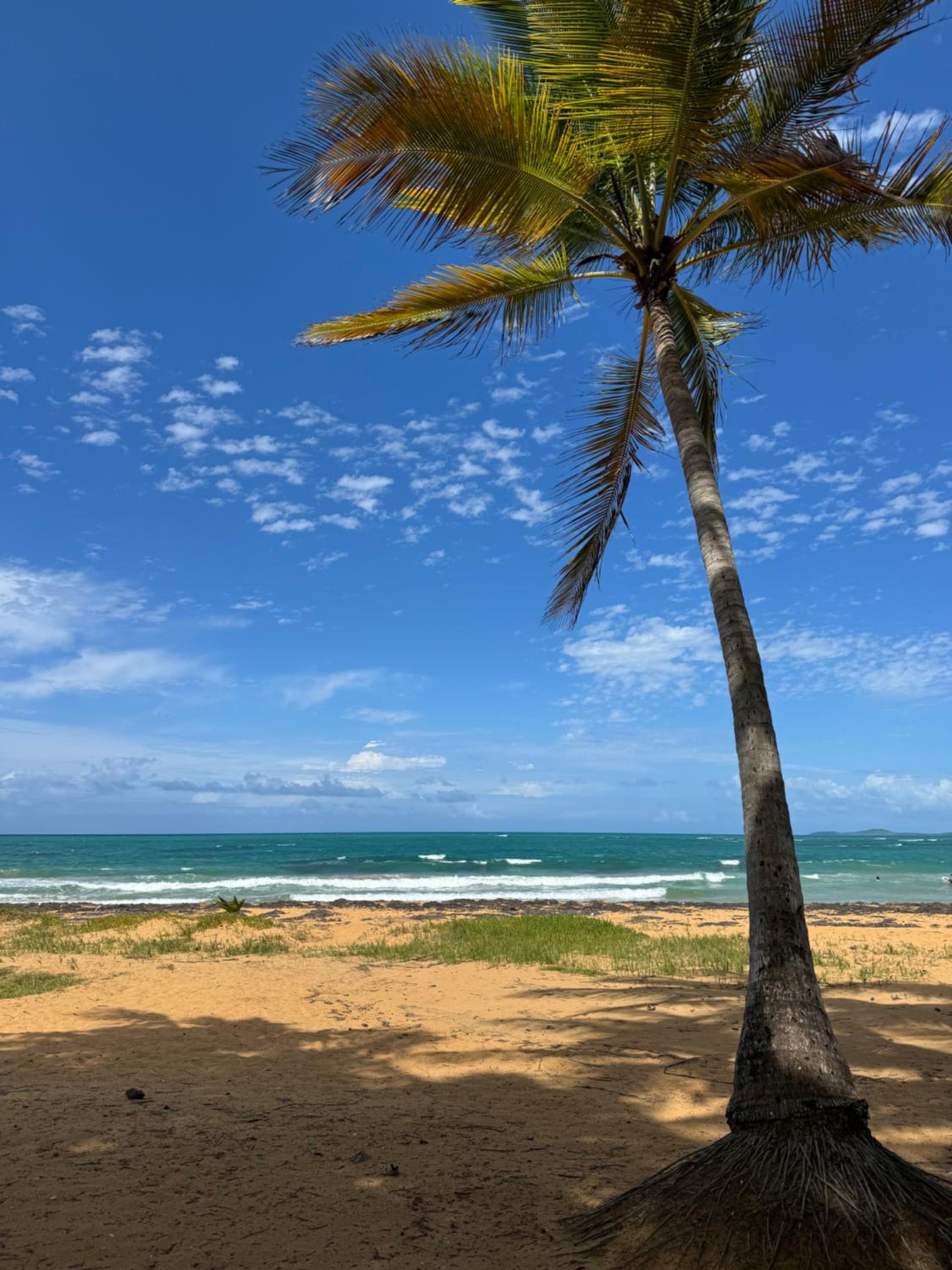 Ocean Blue Beach Apt view 2