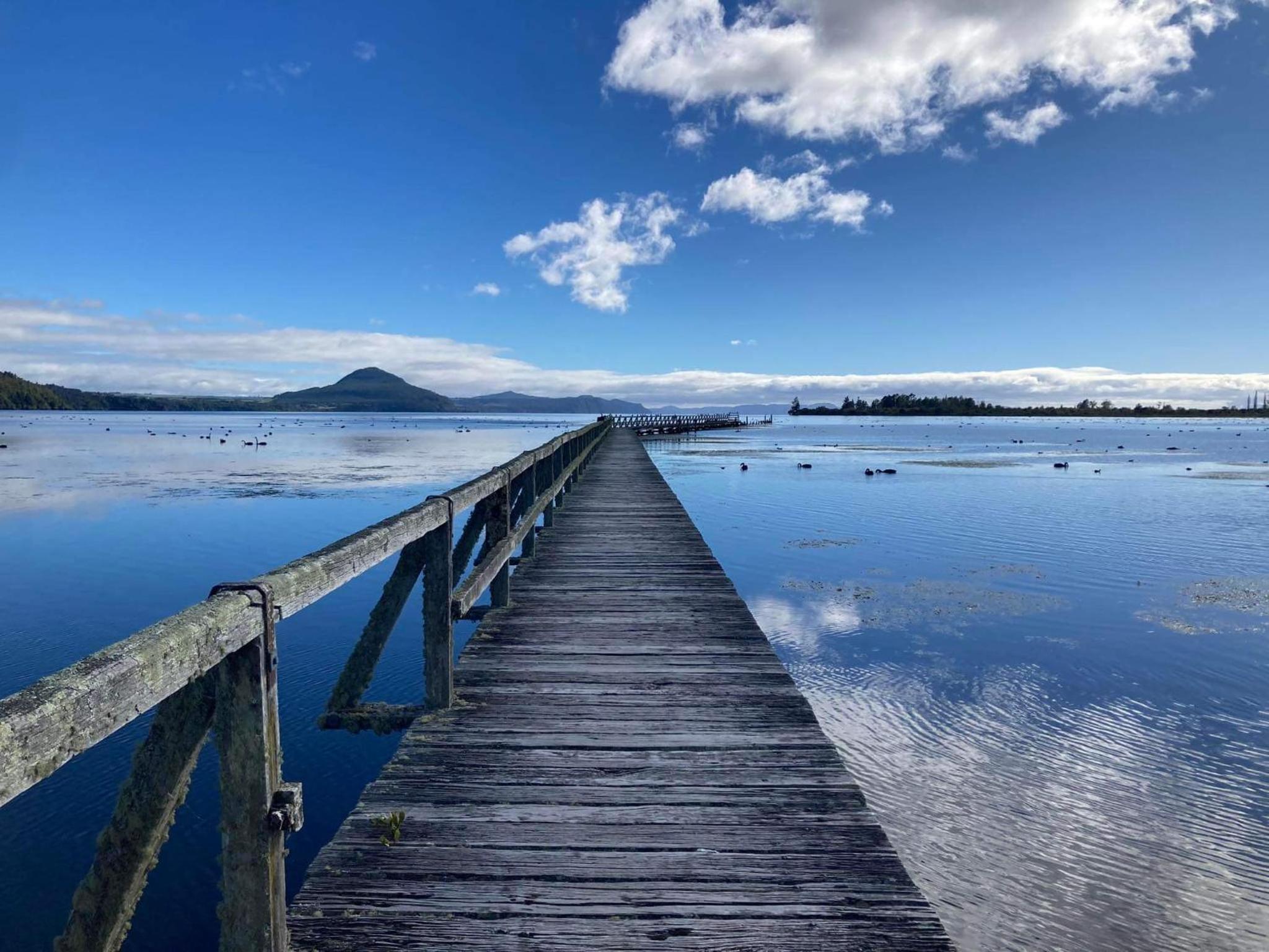 Whare&geothermal pool by lake Taupo