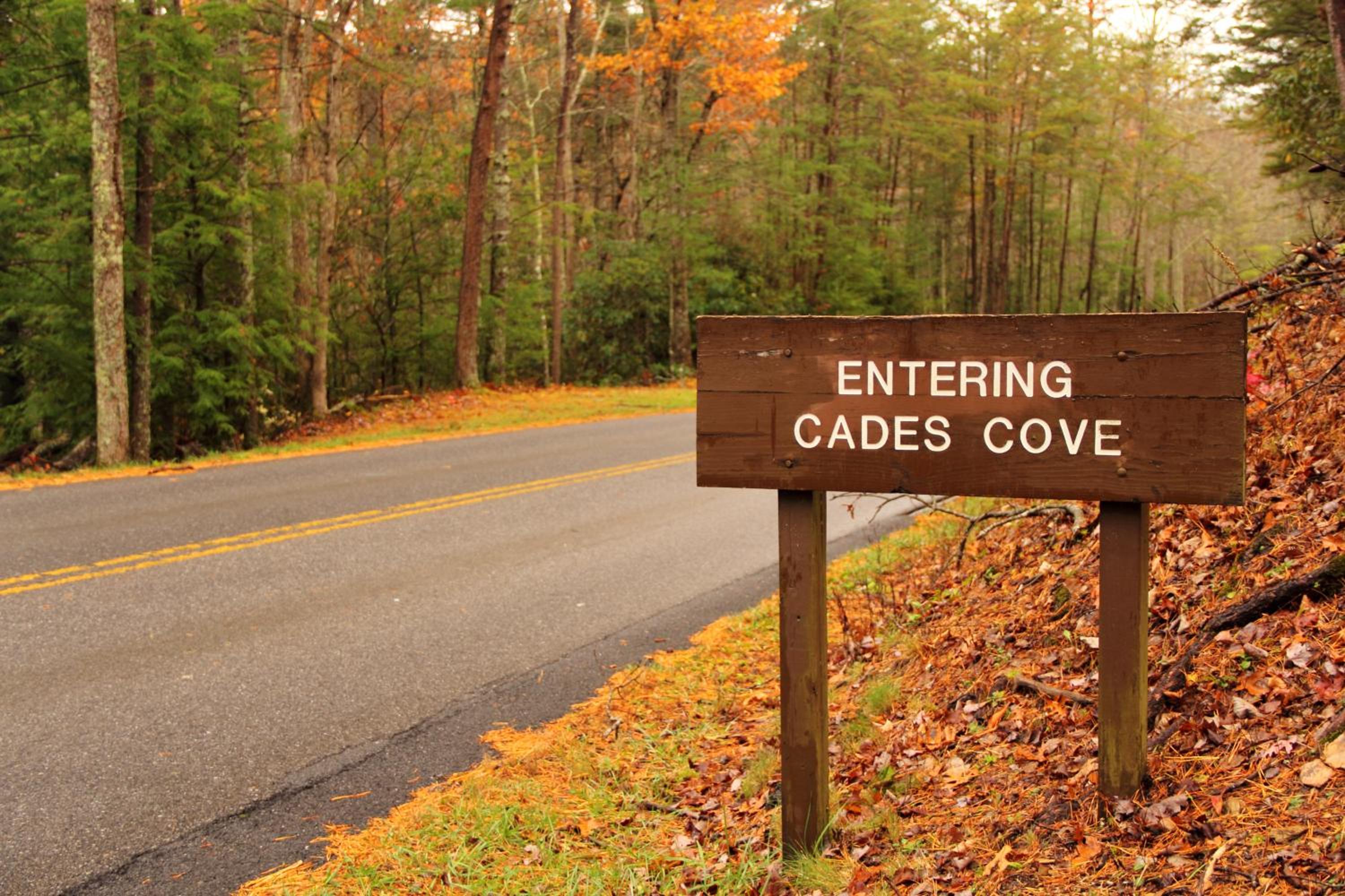 Smoky Mountain Views - Property Image 32