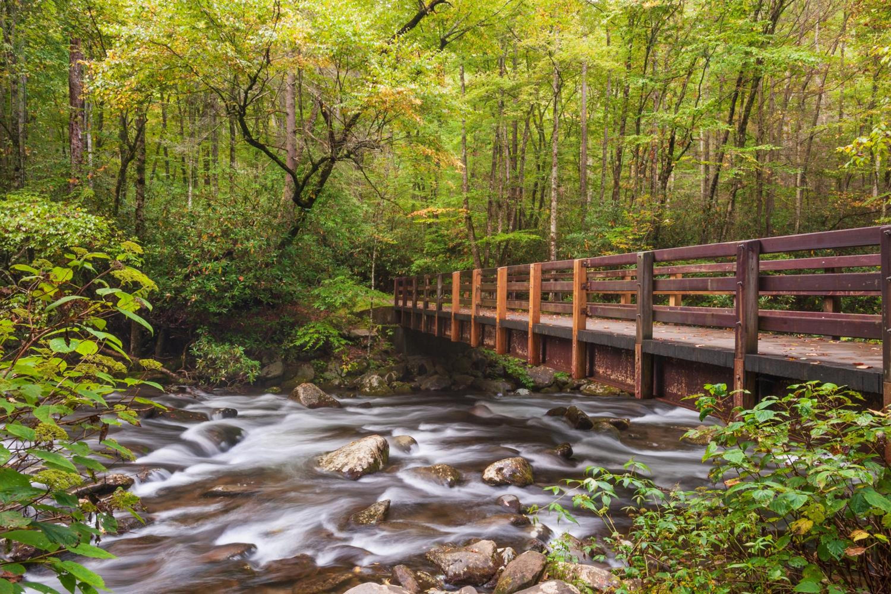 Smoky Mountain Views - Property Image 24