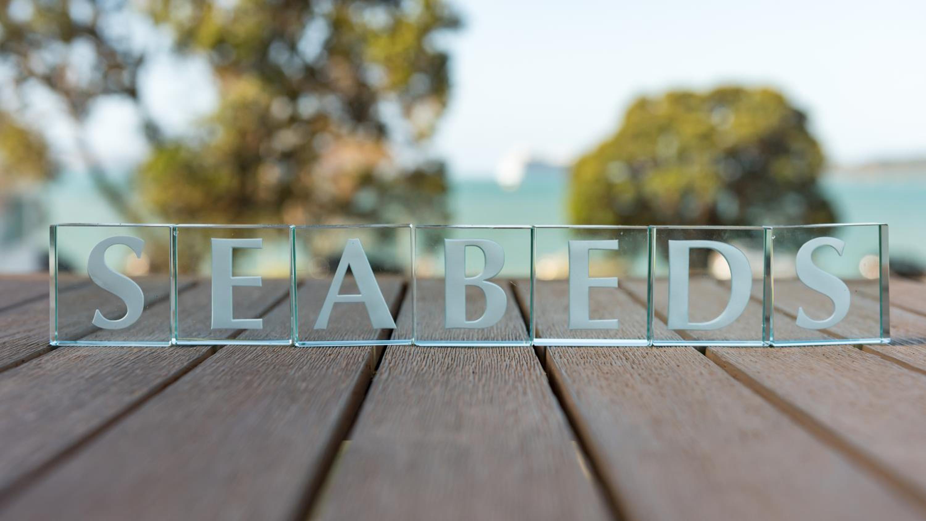 Seabeds