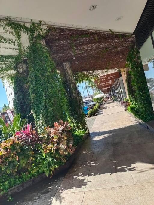 Smart Loft en Zona Marina Vallarta