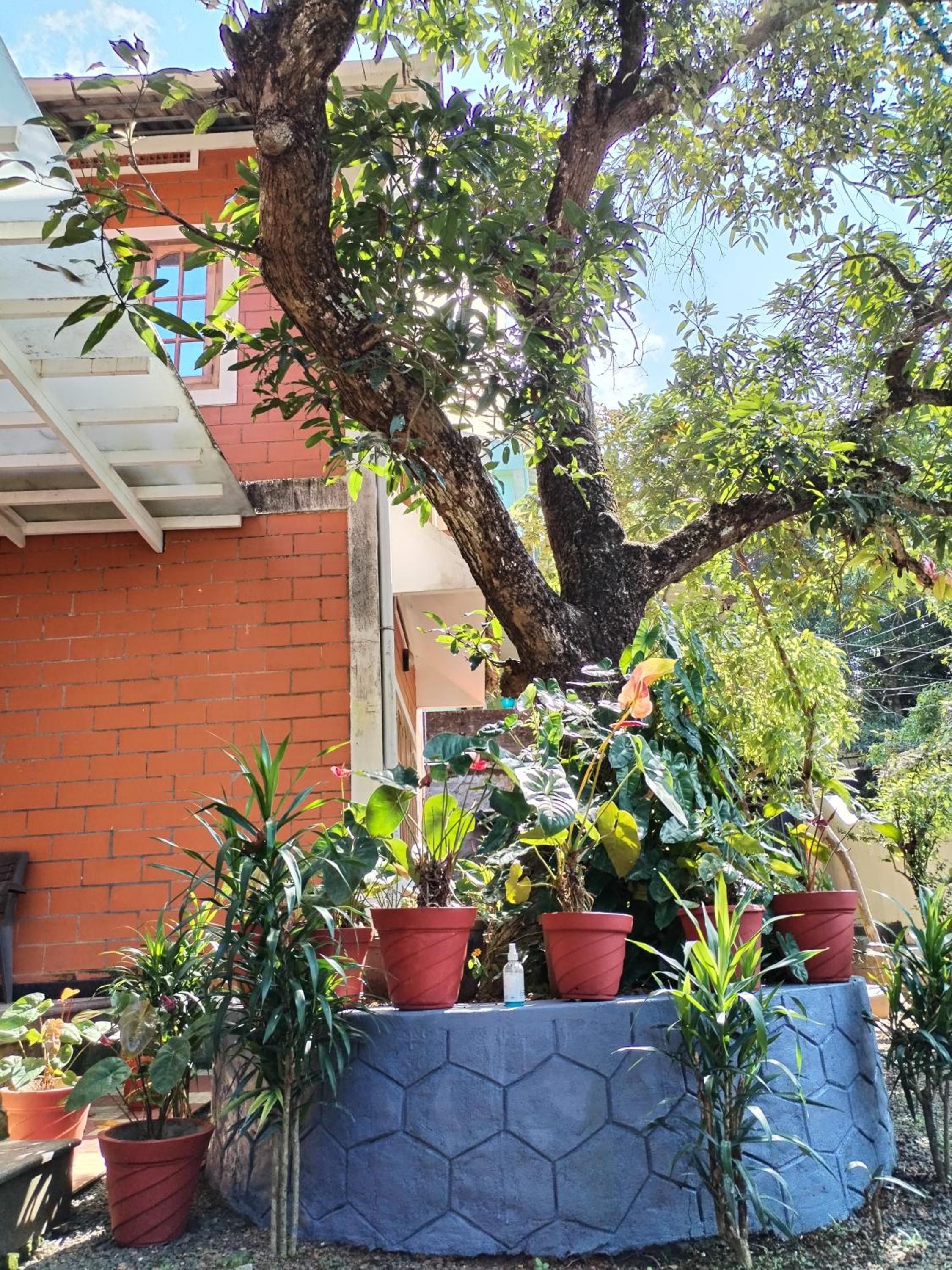 Sweet home