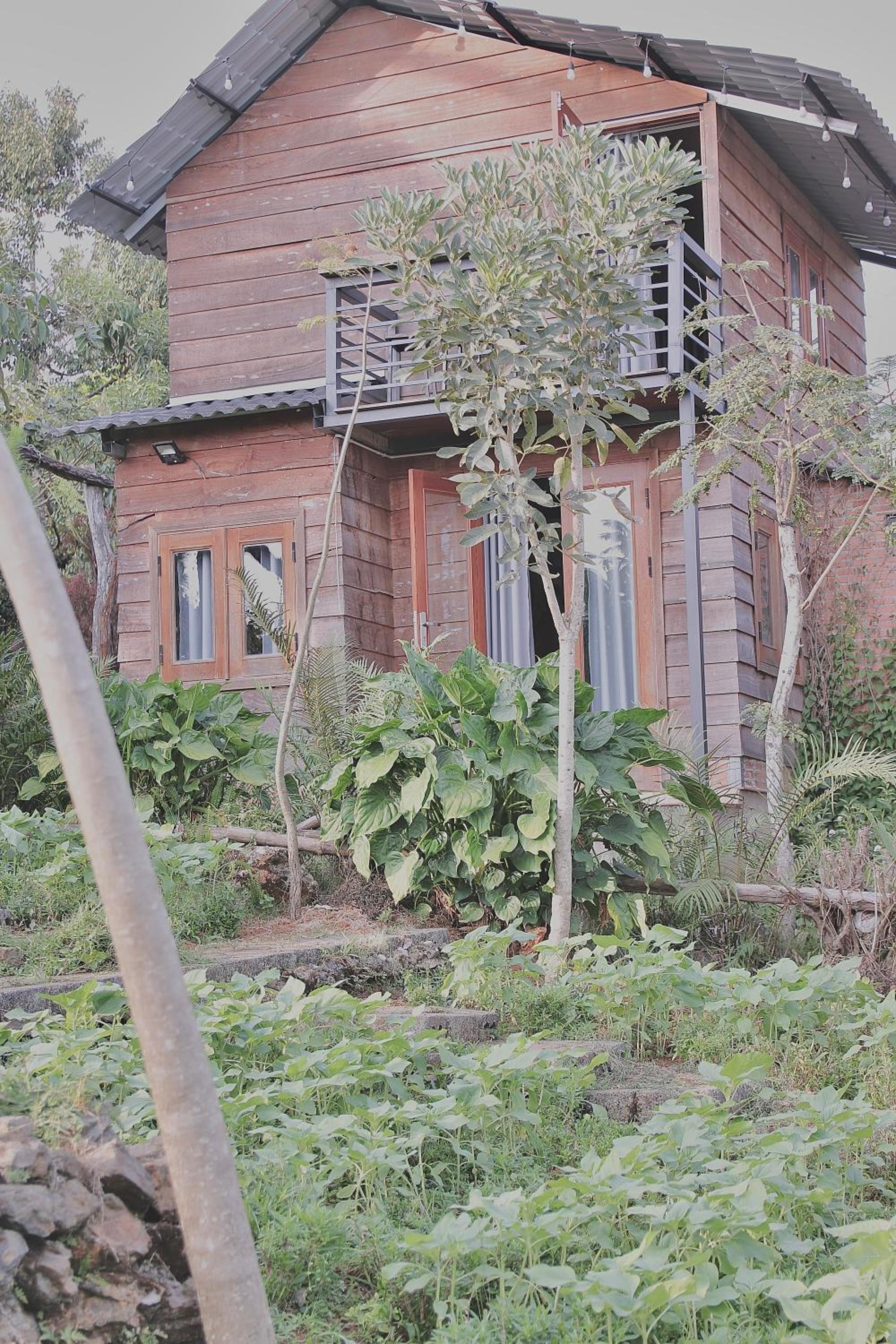 Homestay Đồi Ông Thoại view 3