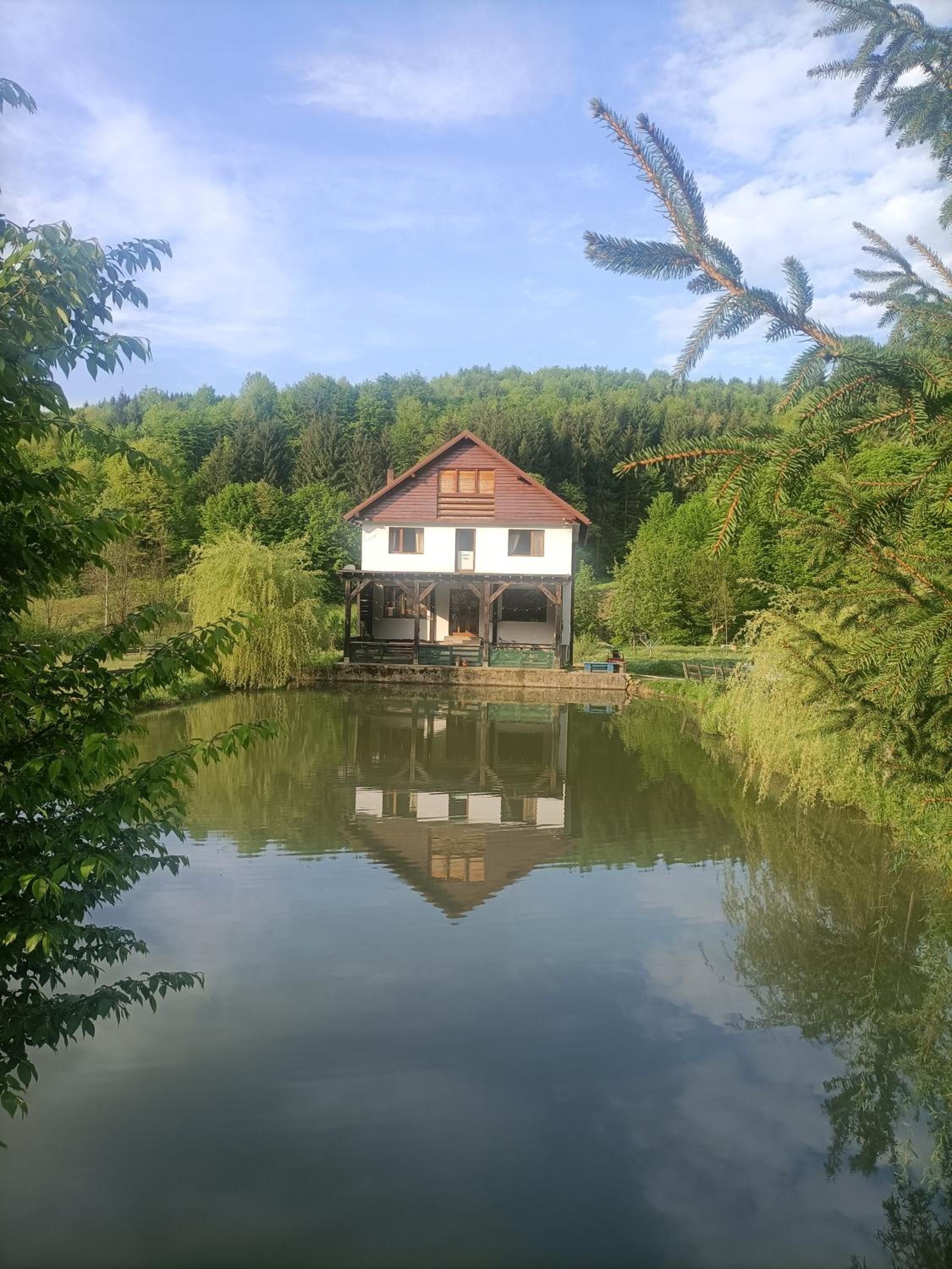 Cabana Țibleș Bichigiu view 4
