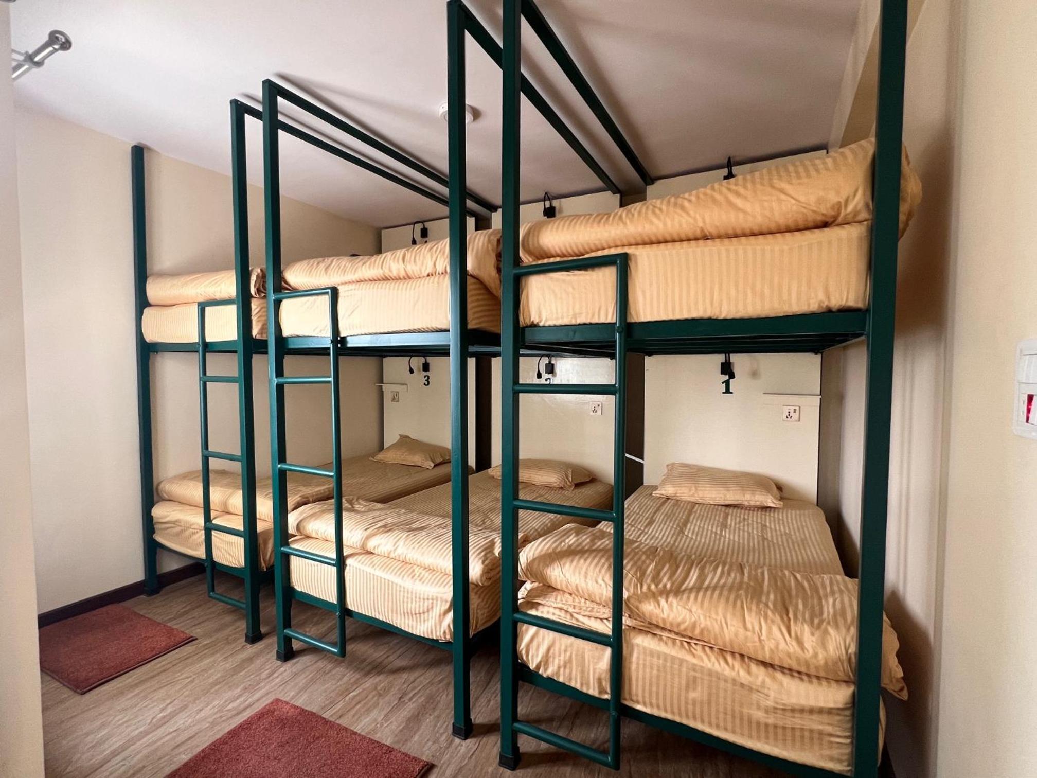 The Sparkling Turtle Backpackers Hostel