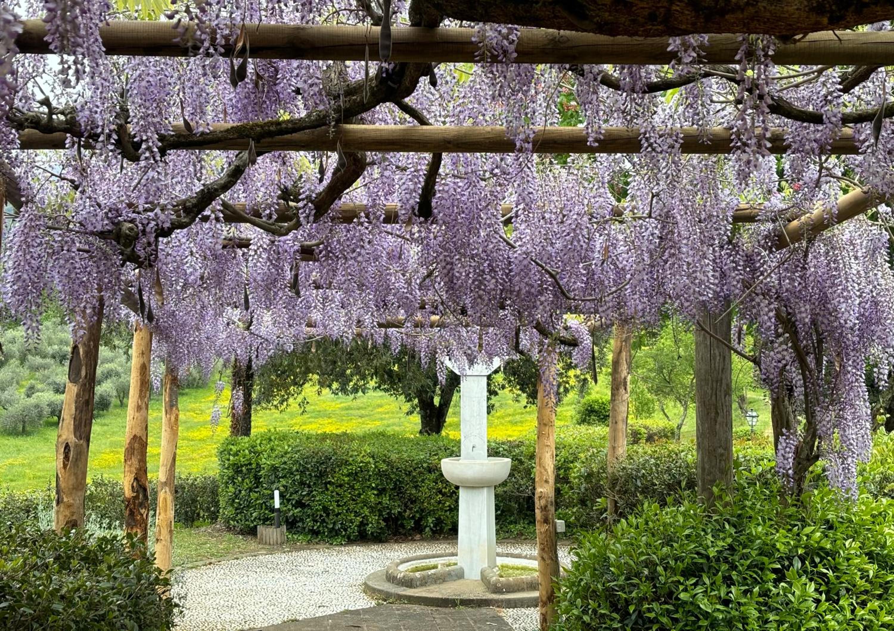 Villa Olea