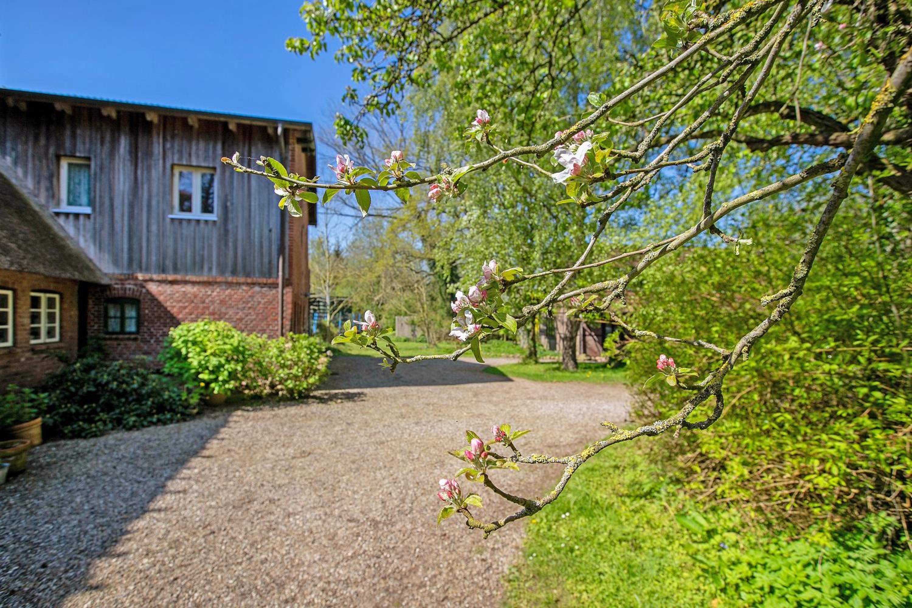 Ferienwohnung Galerie unterm Reet