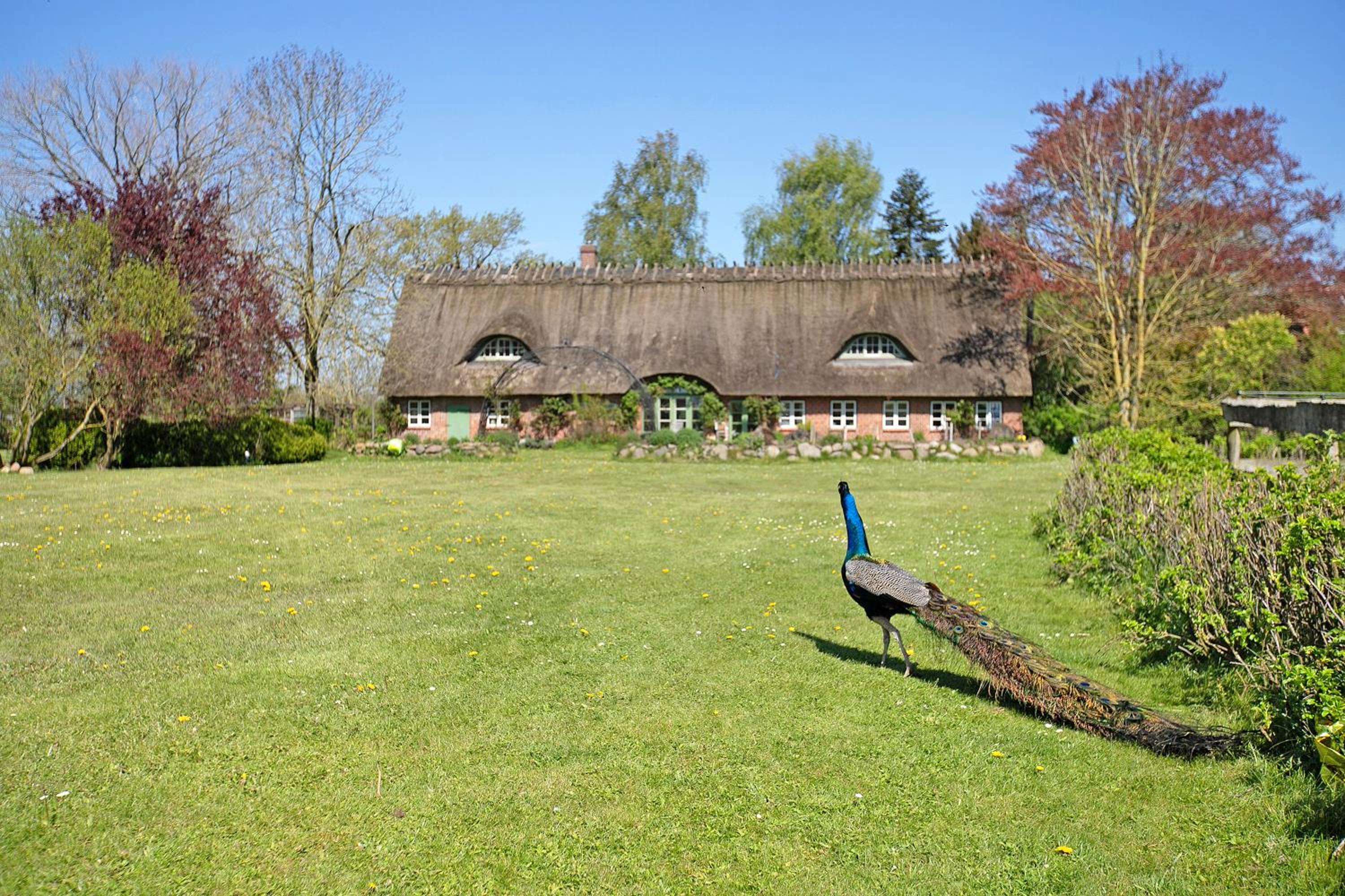 Ferienwohnung Galerie unterm Reet