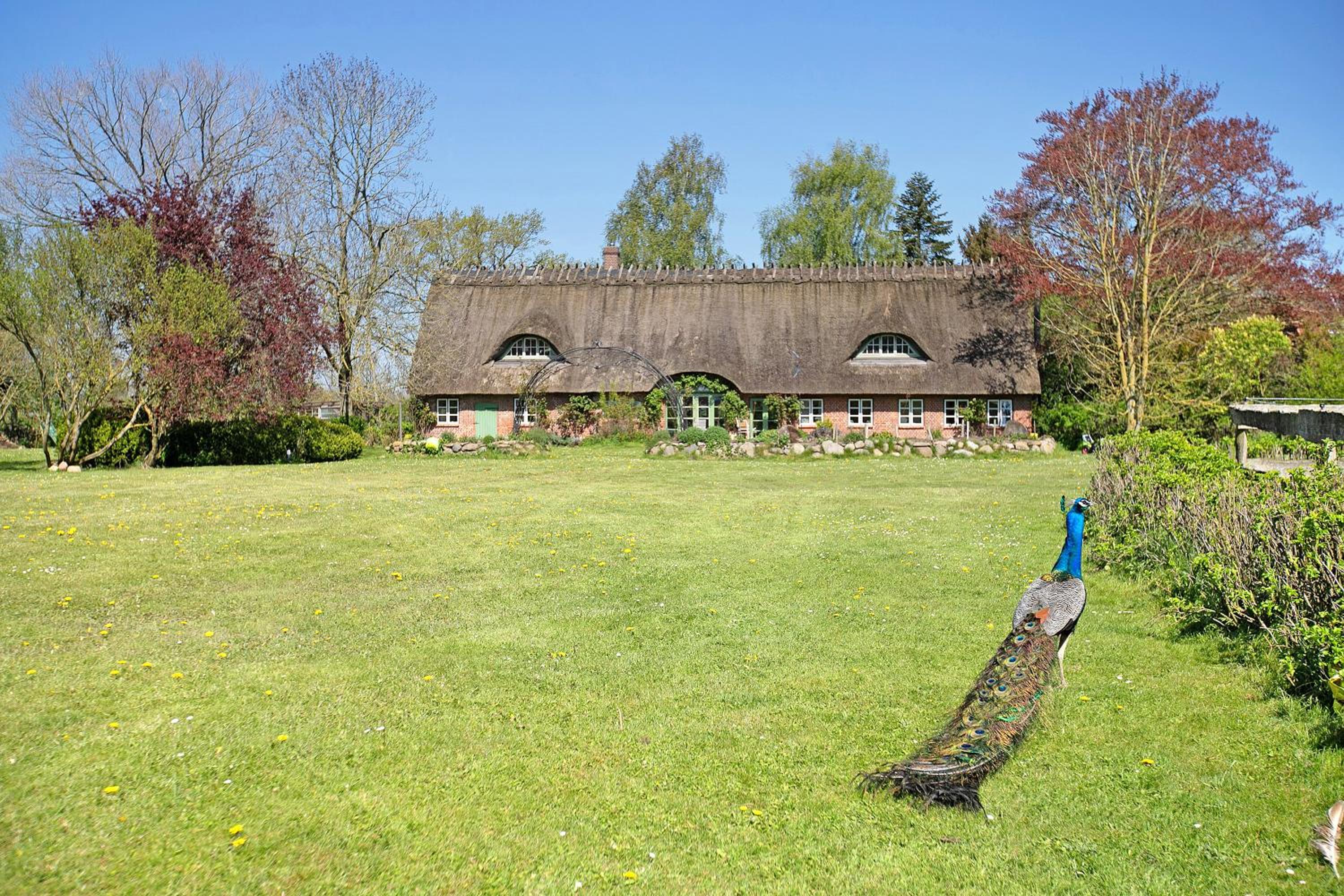 Ferienwohnung Galerie unterm Reet
