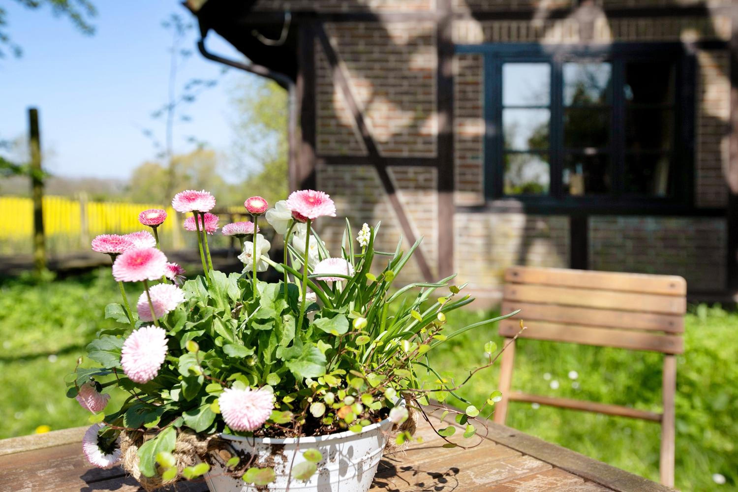 Ferienhaus Rosen