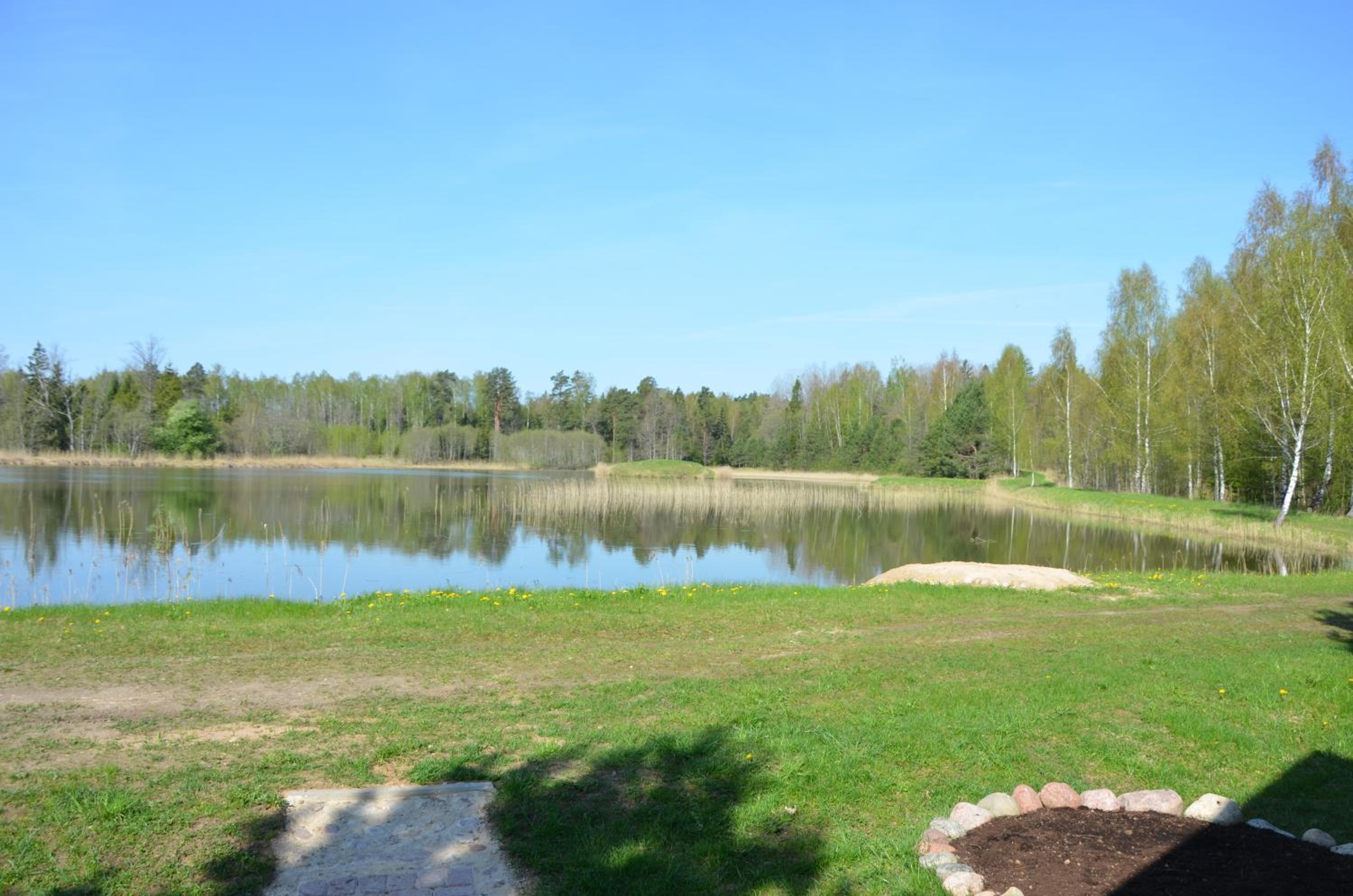 Skujiņa