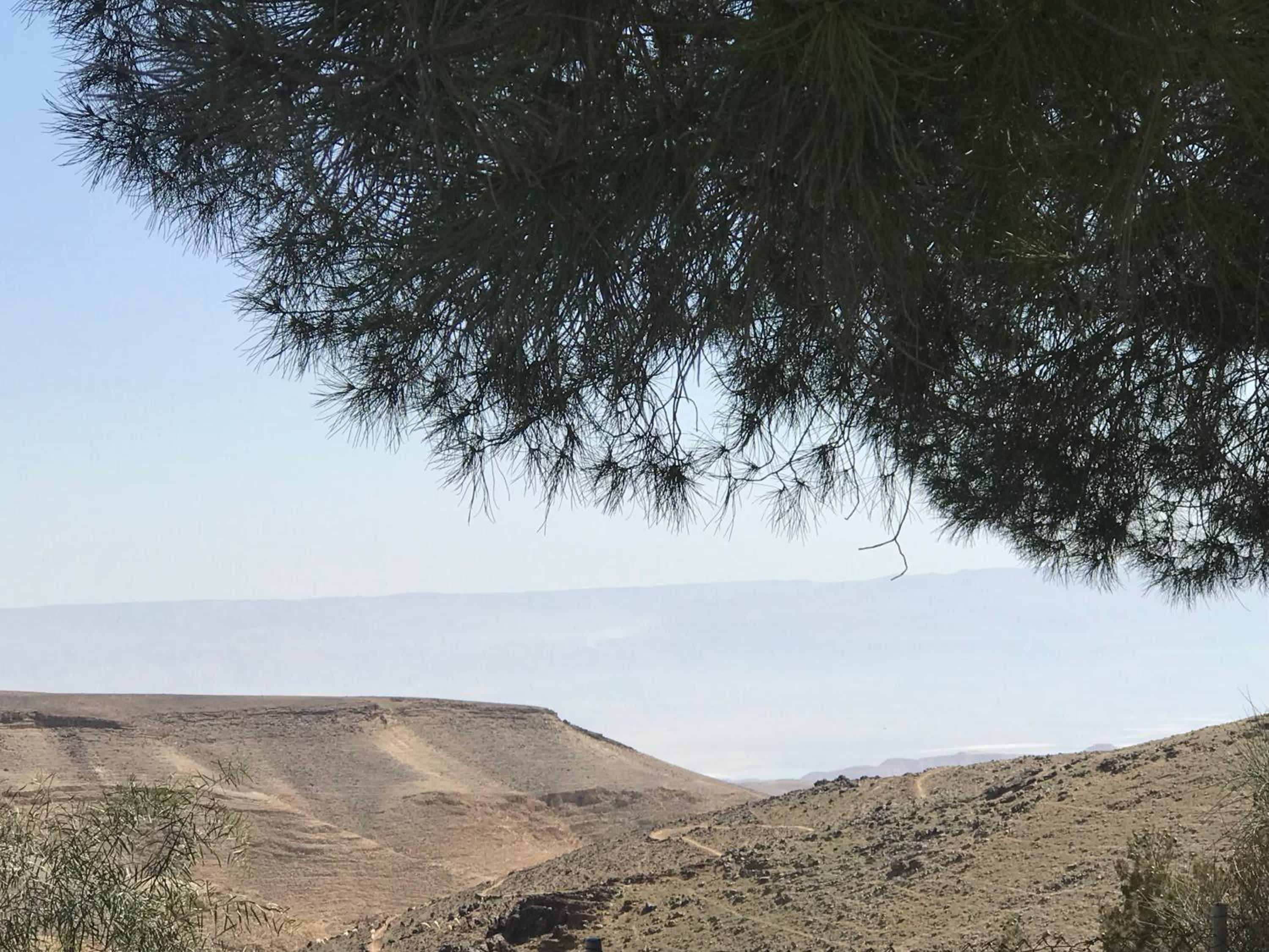 סוויטות עין השמש eye sun, photo 34