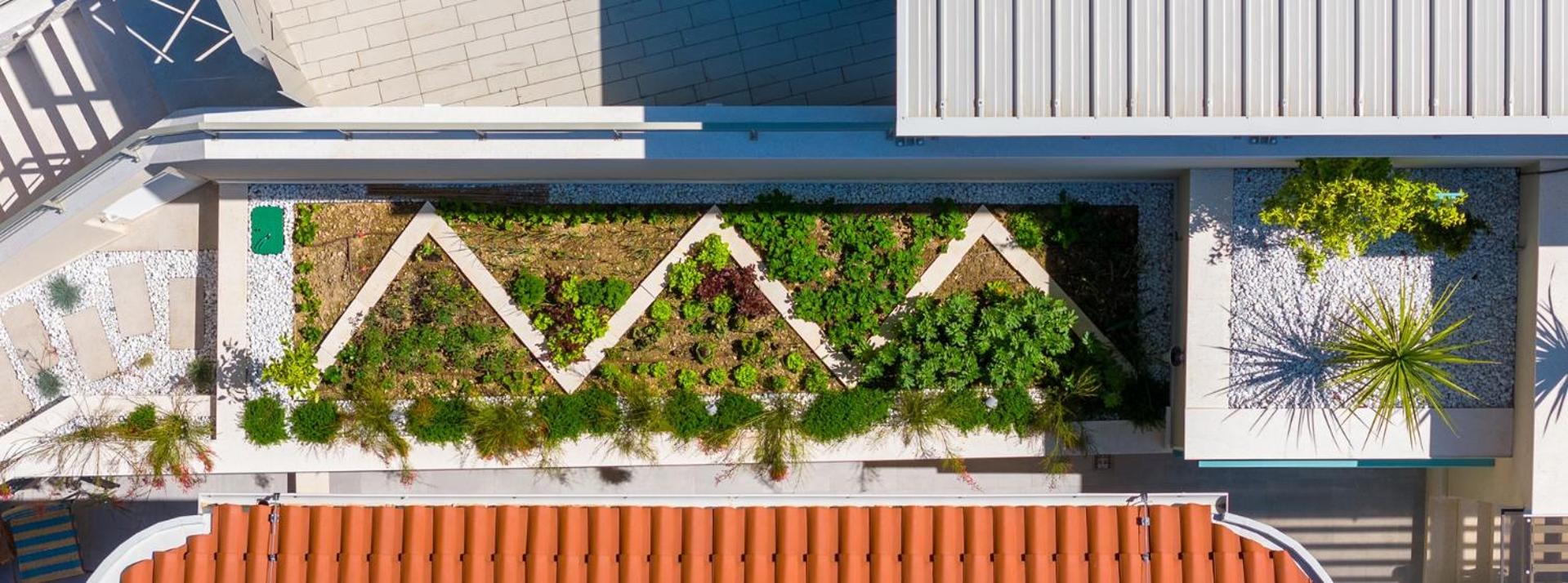 Photo 65