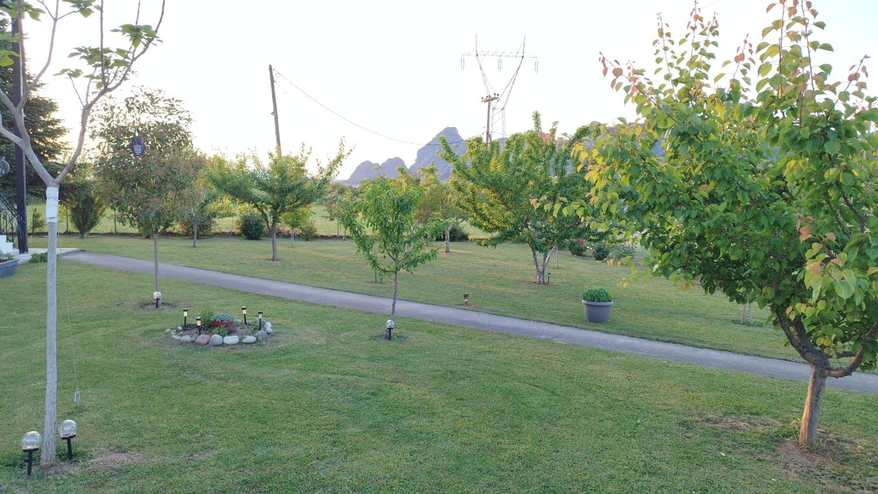 Photo 48