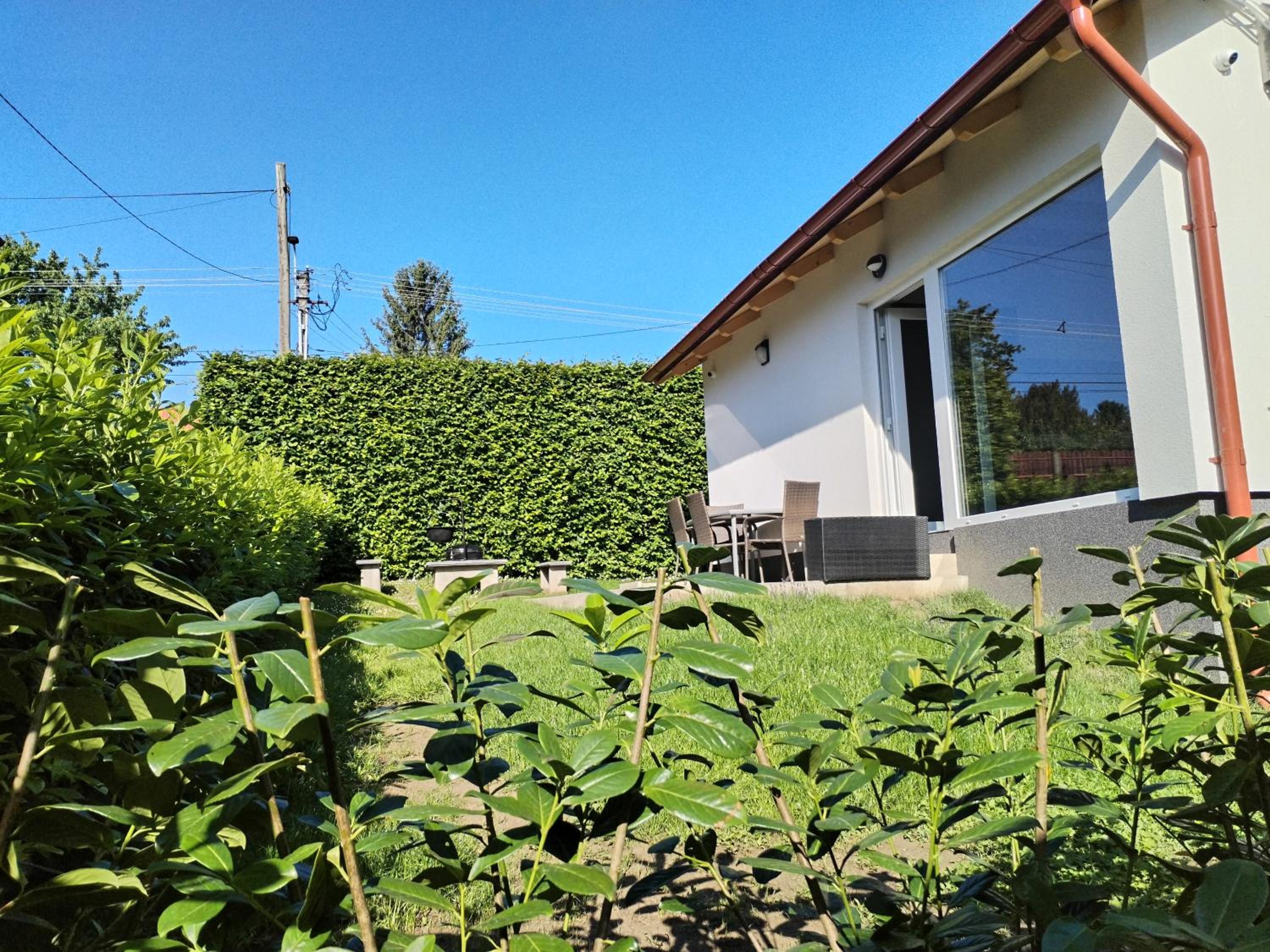 Photo 29