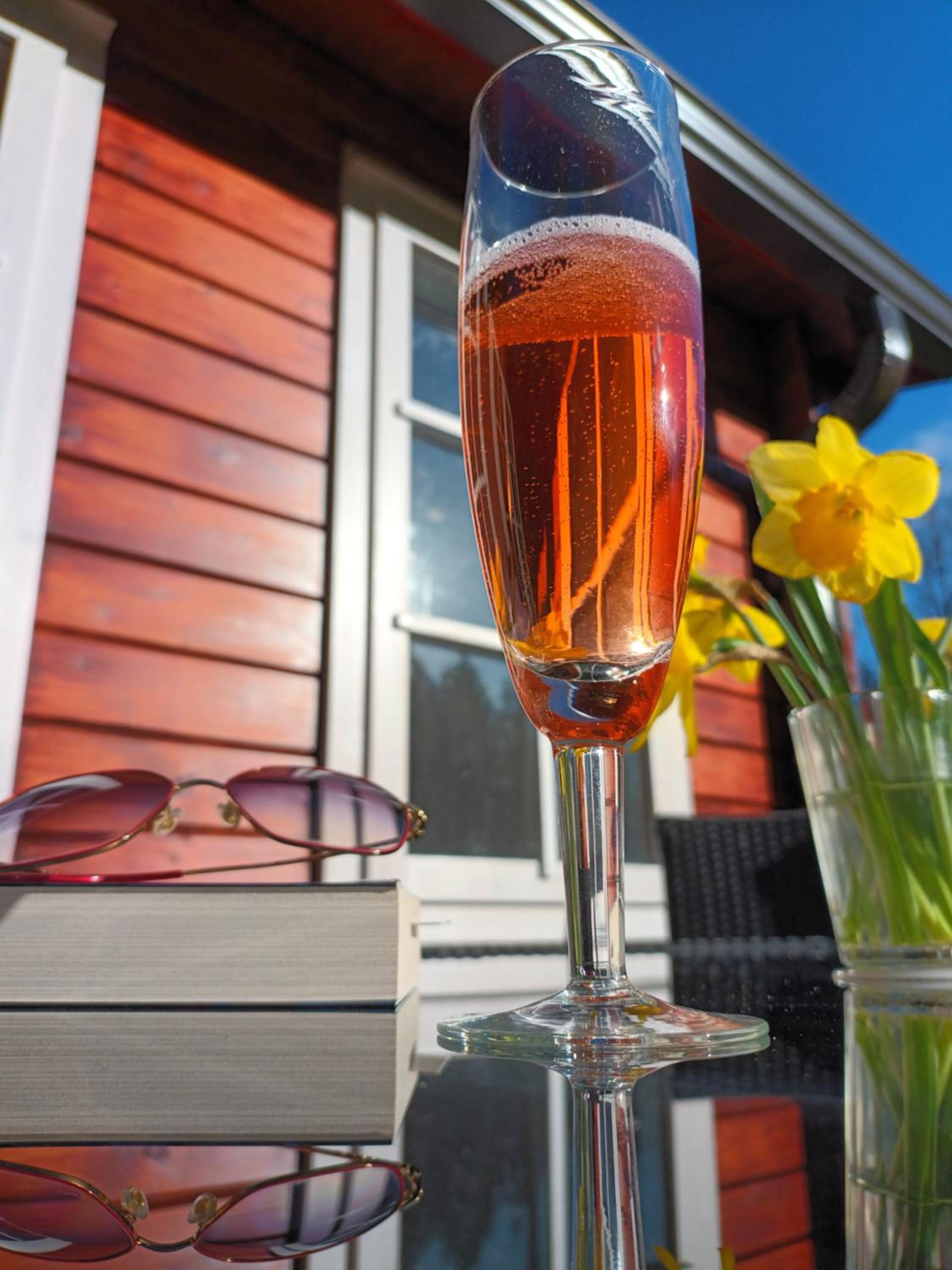 Salu summer cottage