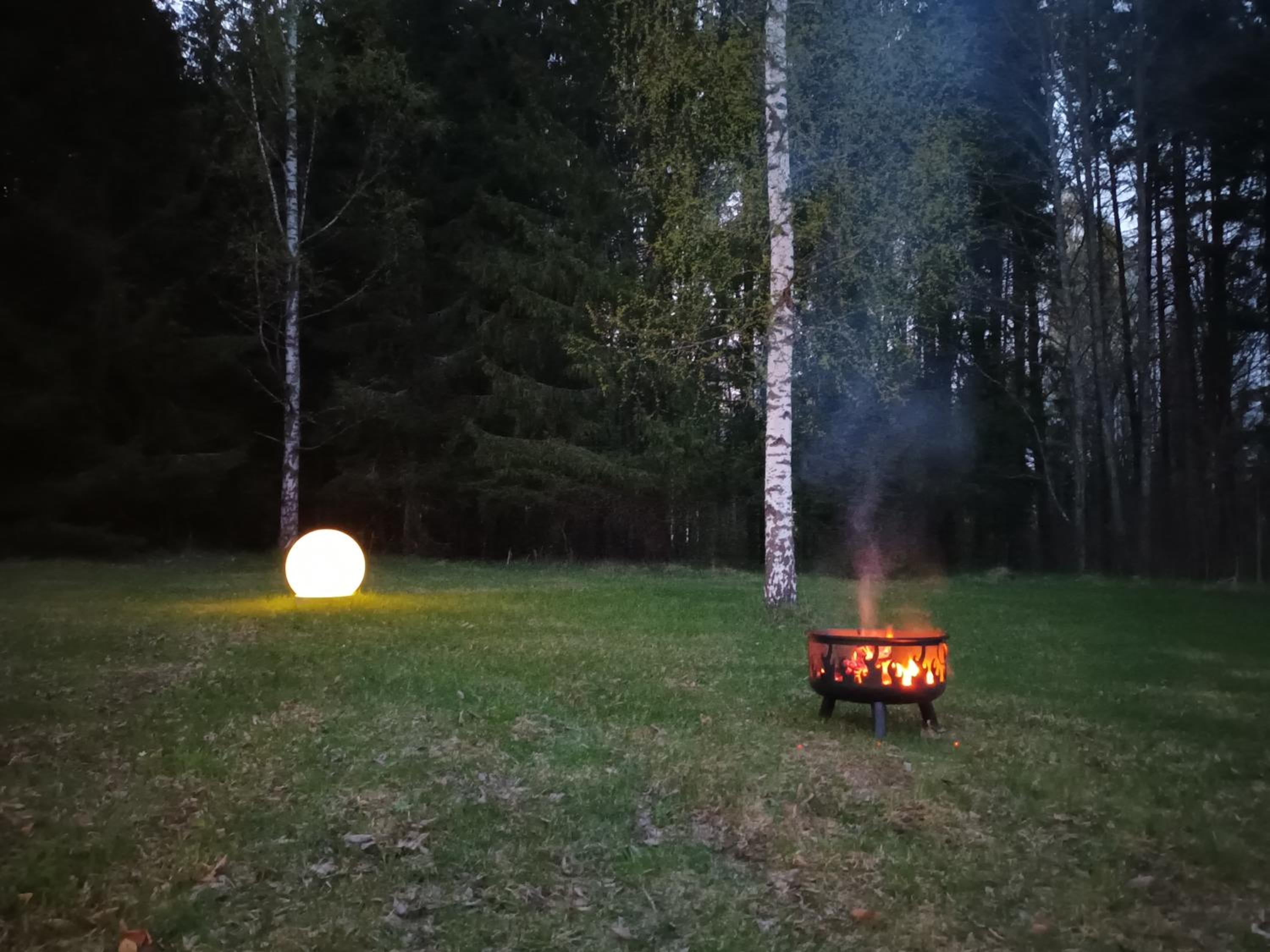 Salu summer cottage