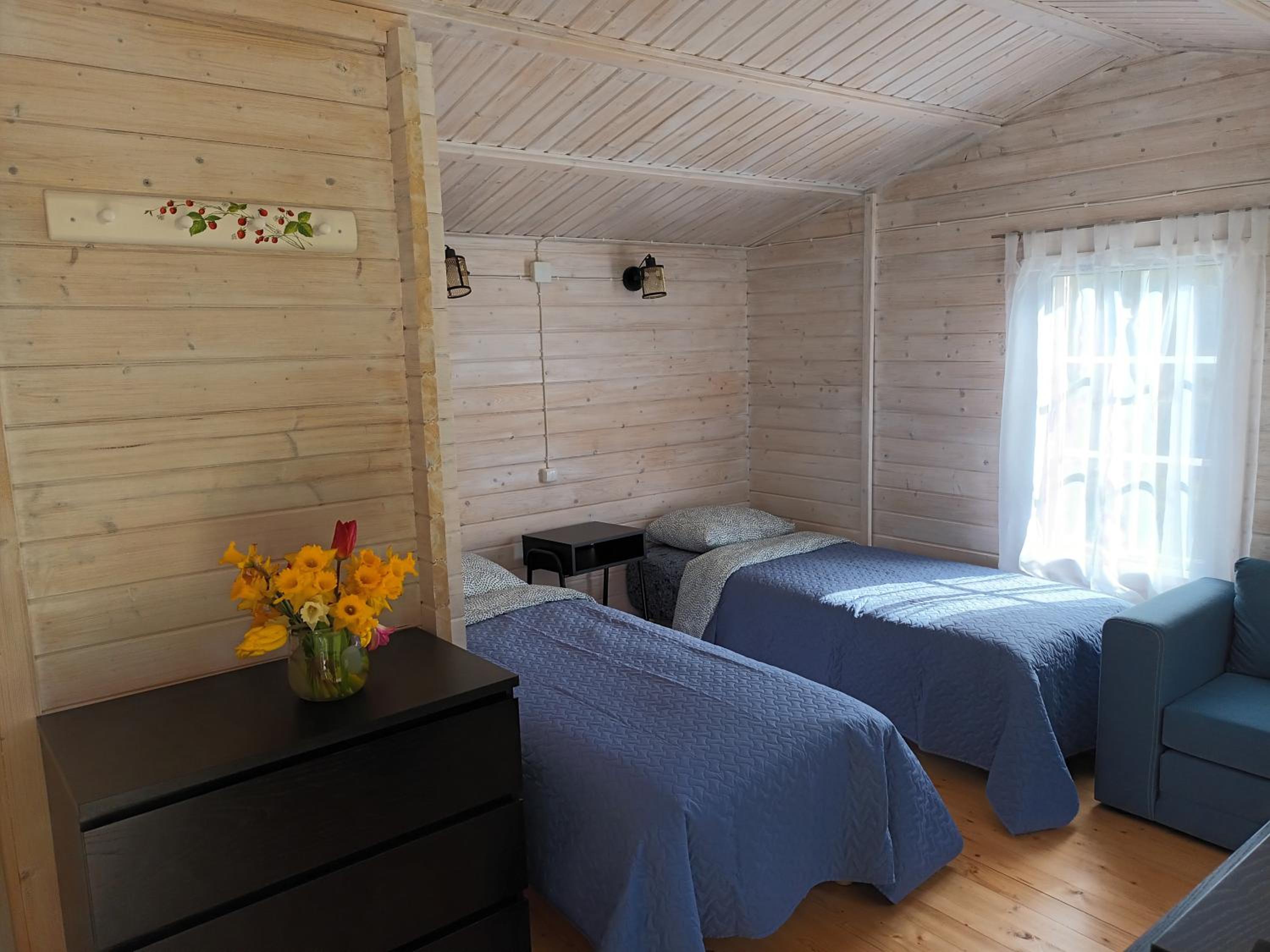 Salu summer cottage