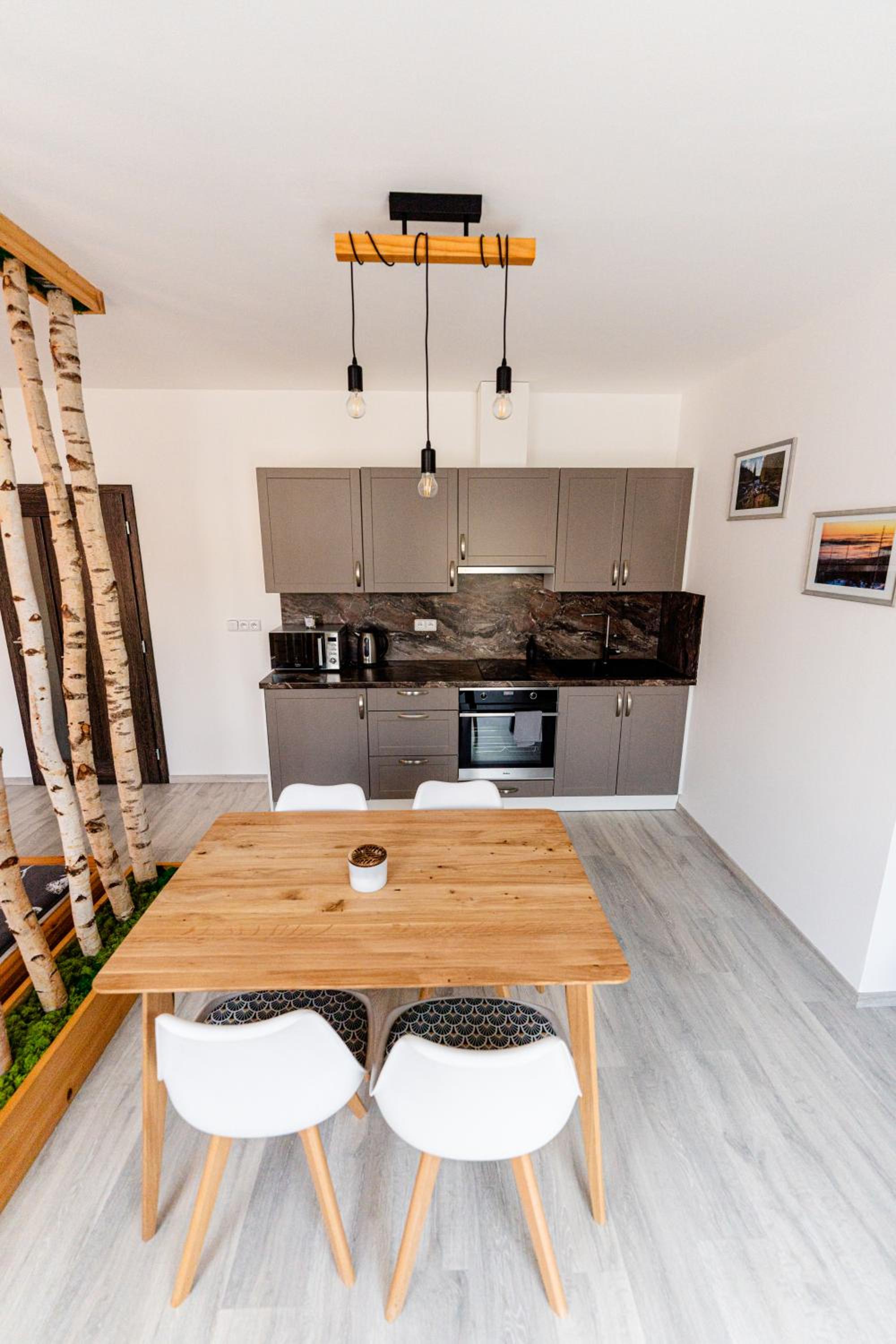Apartmán v centru Železné Rudy se zahrádkou