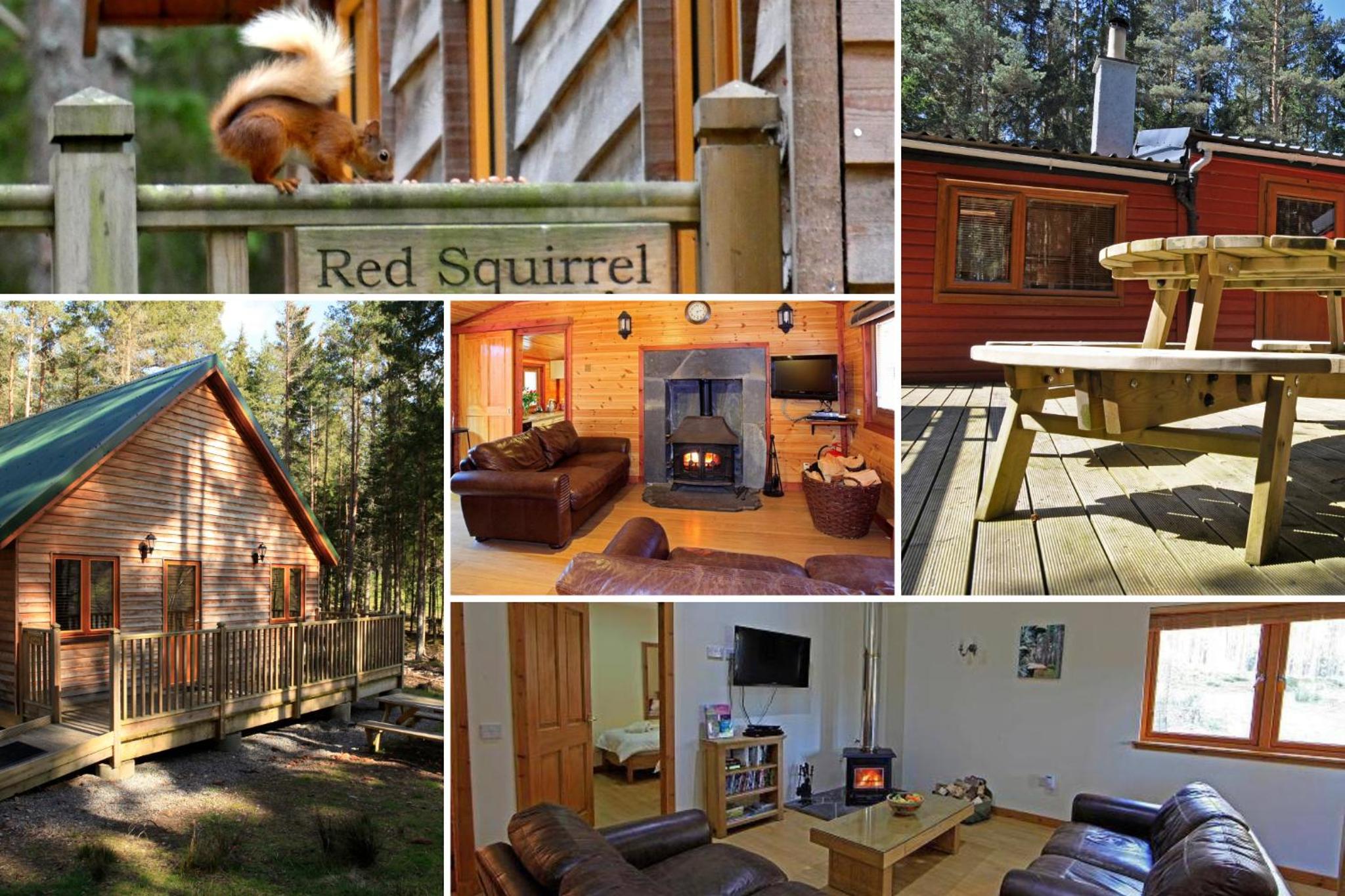 Cairngorm Lodges view 2