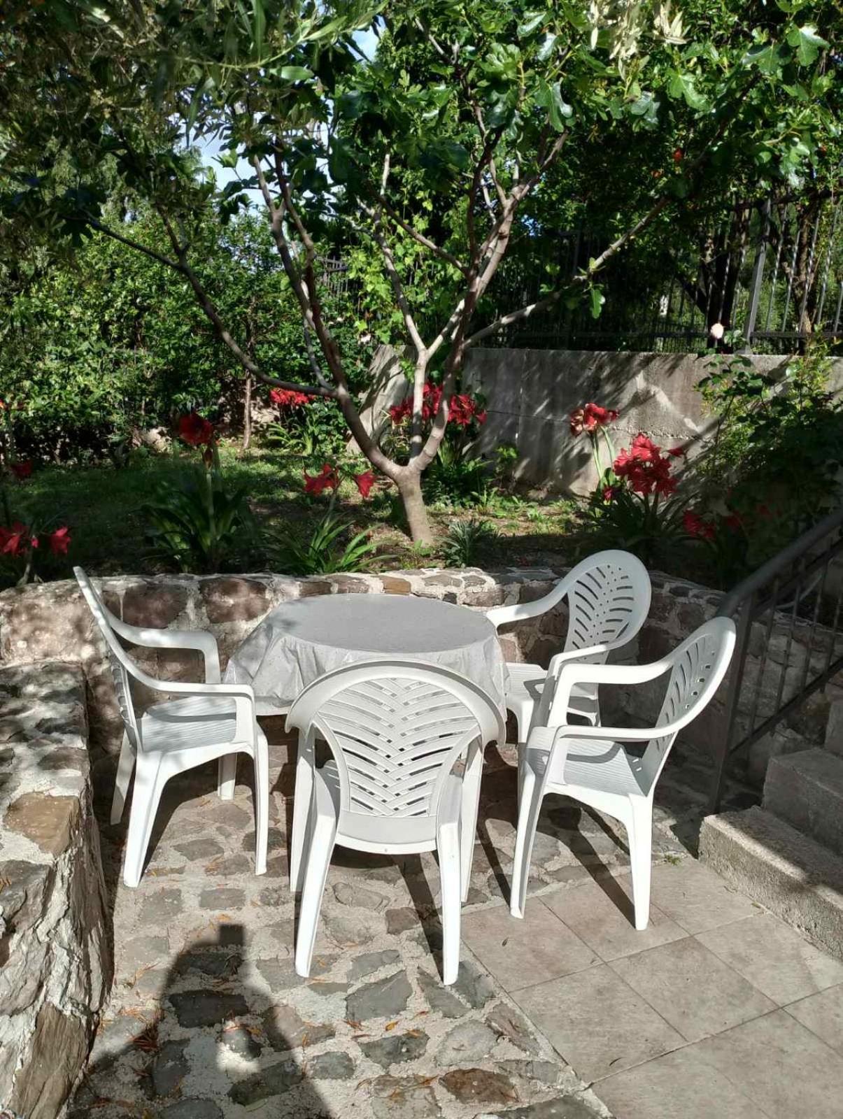 Apartman Sofija HN photo 2