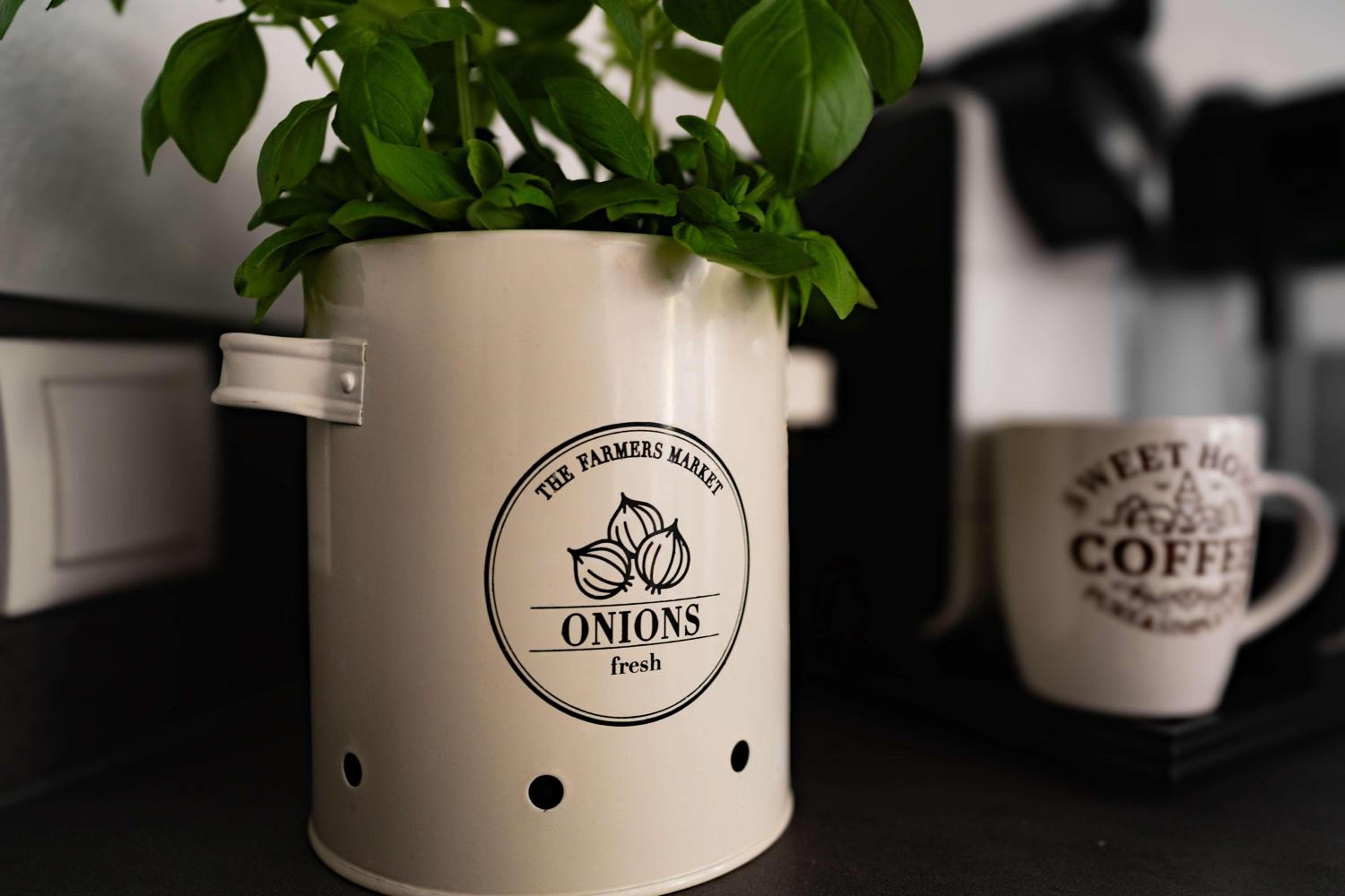 Living Flora