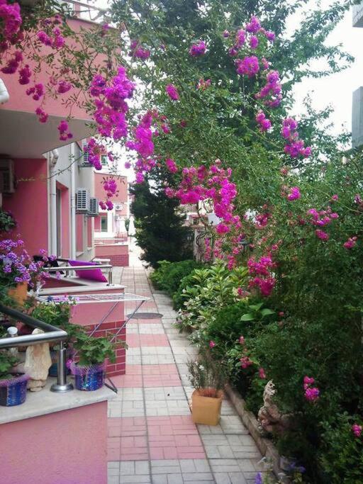 Beach apartment Ravda-Nesebar